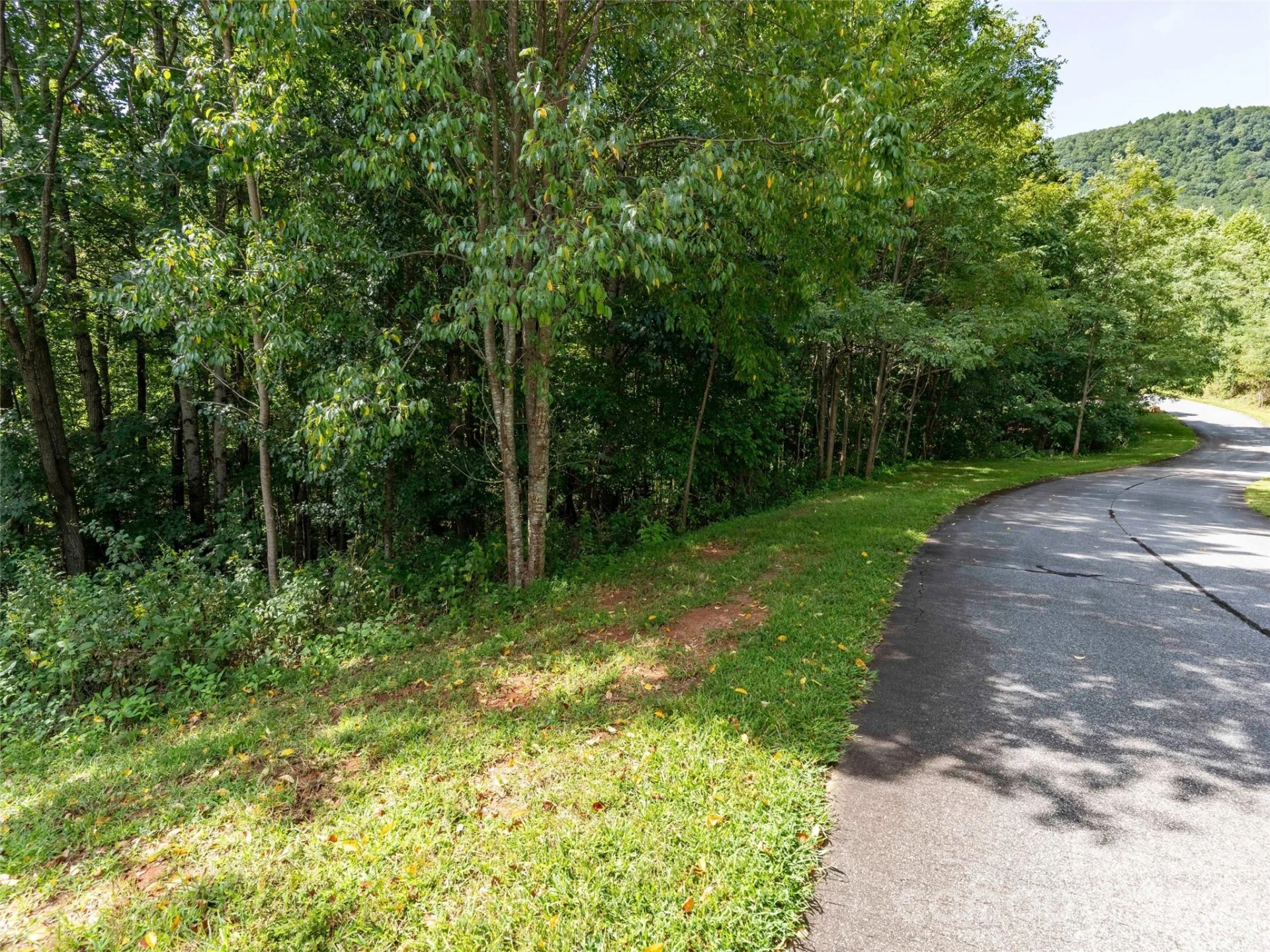 0 Deep Gap Farm Road W #2061 - Photo 3