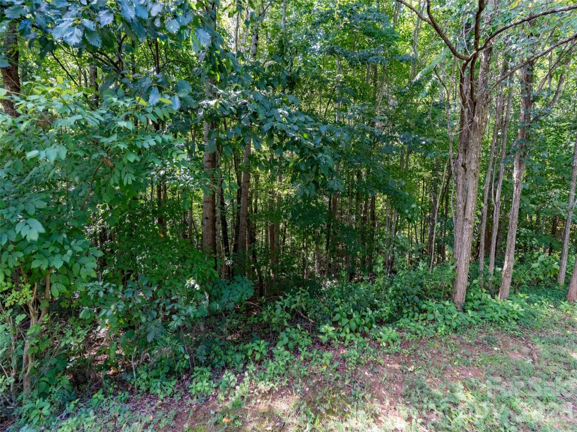 0 Deep Gap Farm Road W #2061 - Photo 4