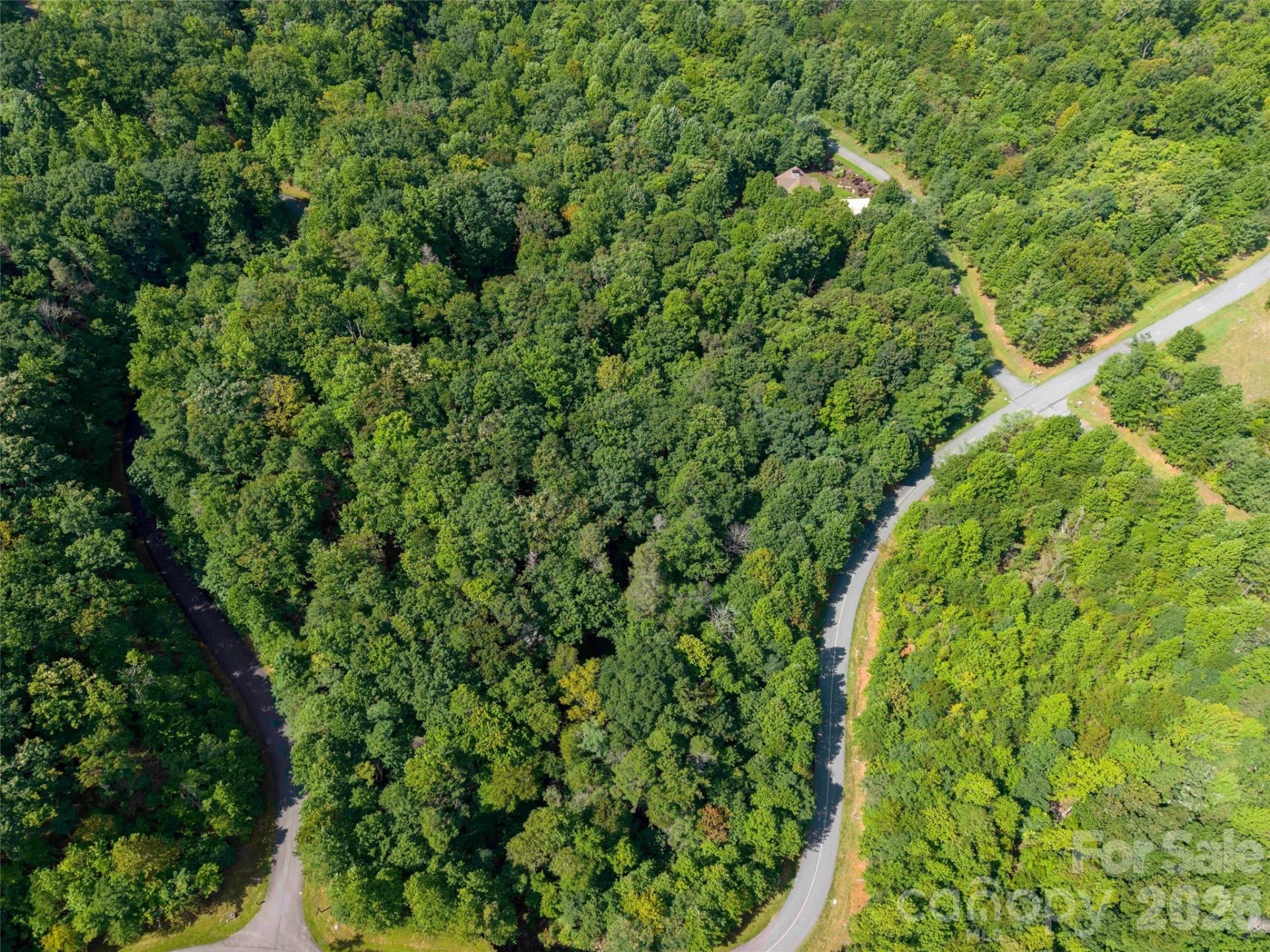 0 Deep Gap Farm Road W #2061 - Photo 10