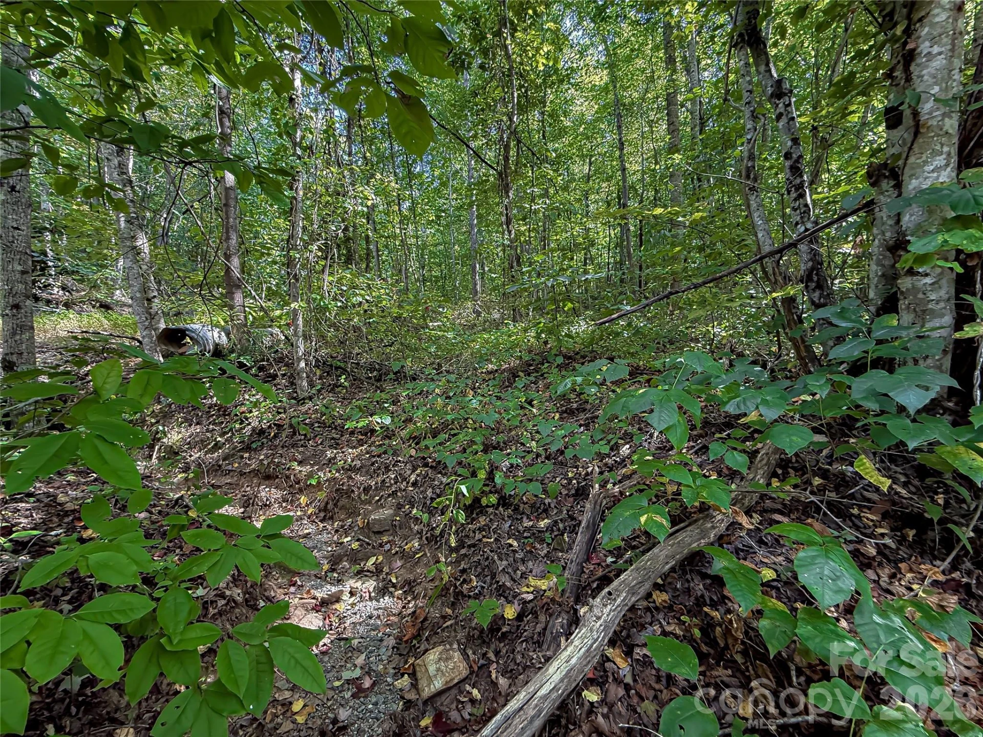 99999 High Top Mountain Road #Lot 1 - Photo 2