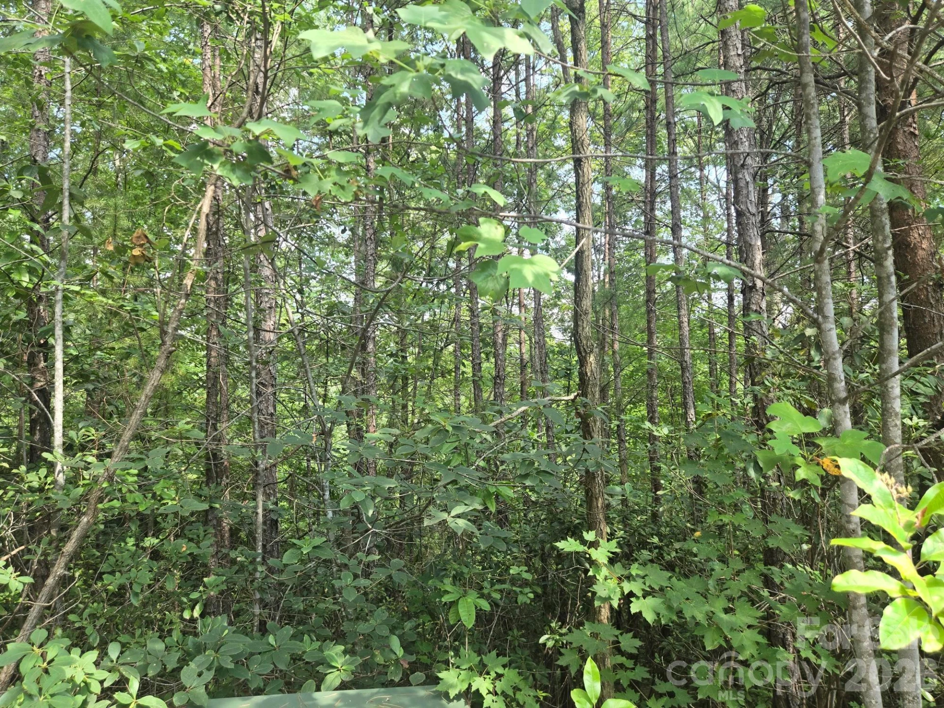 Lot 18 Highland Heights - Photo 5