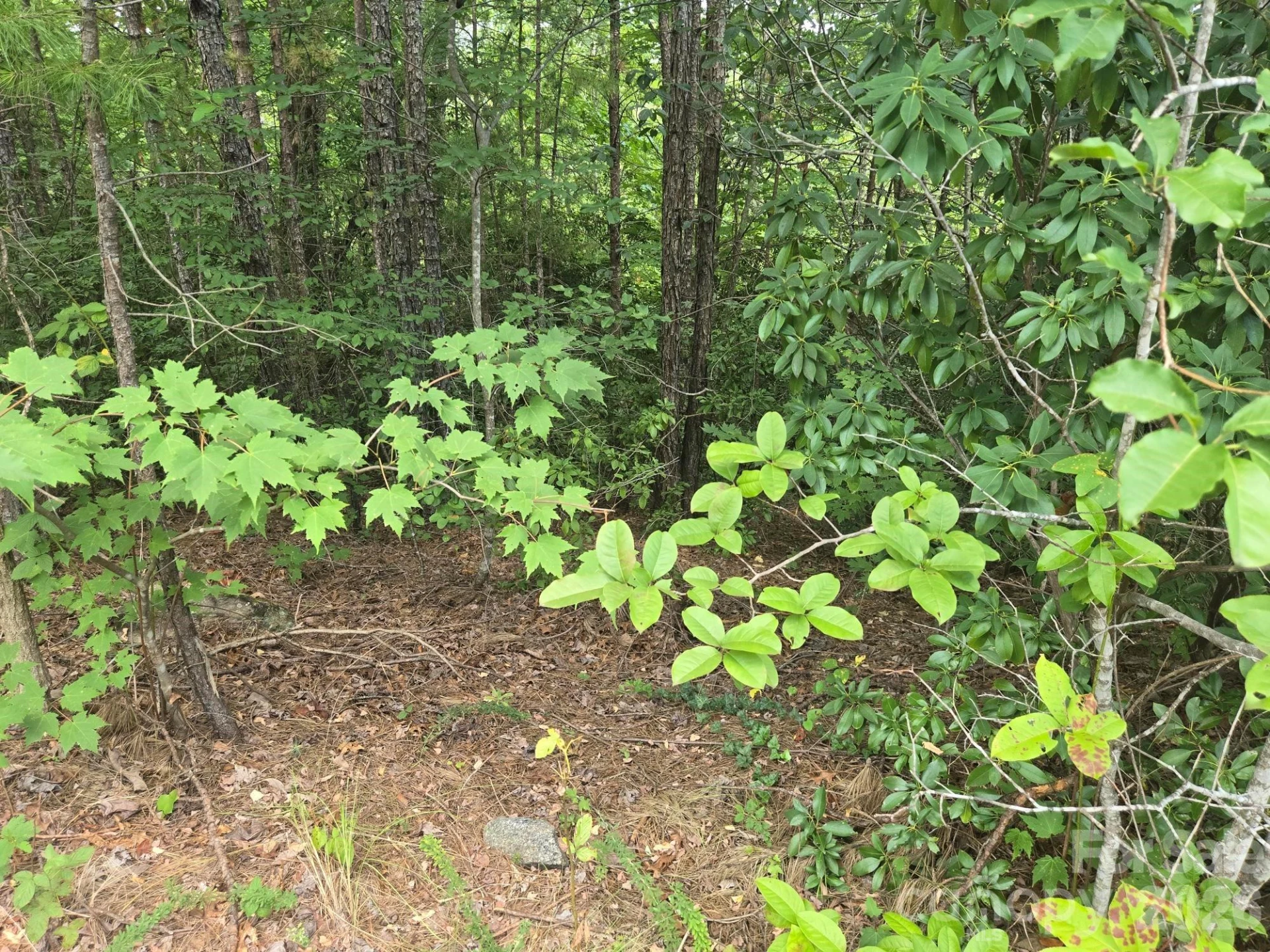 Lot 18 Highland Heights - Photo 6