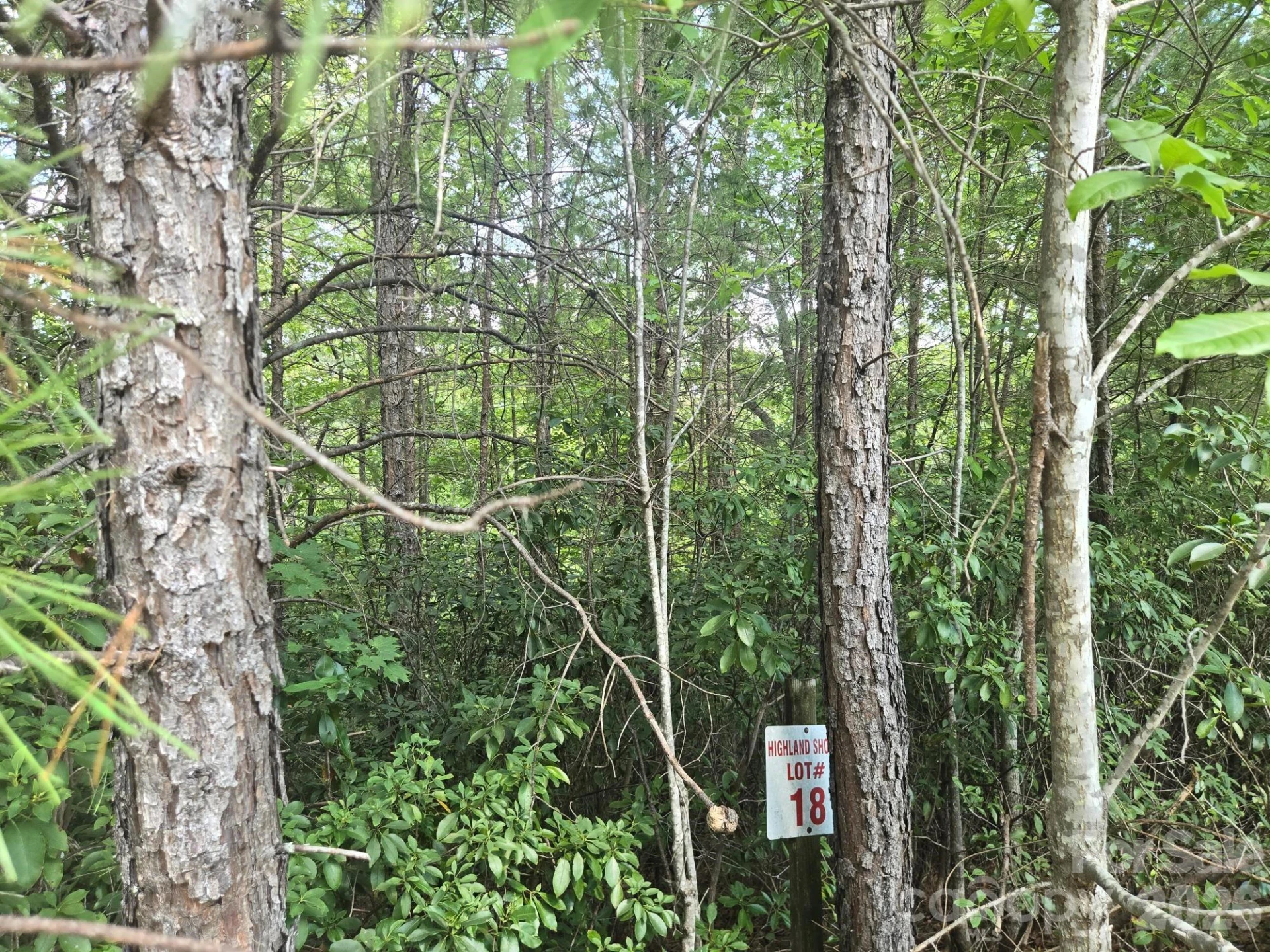 Lot 18 Highland Heights - Photo 7