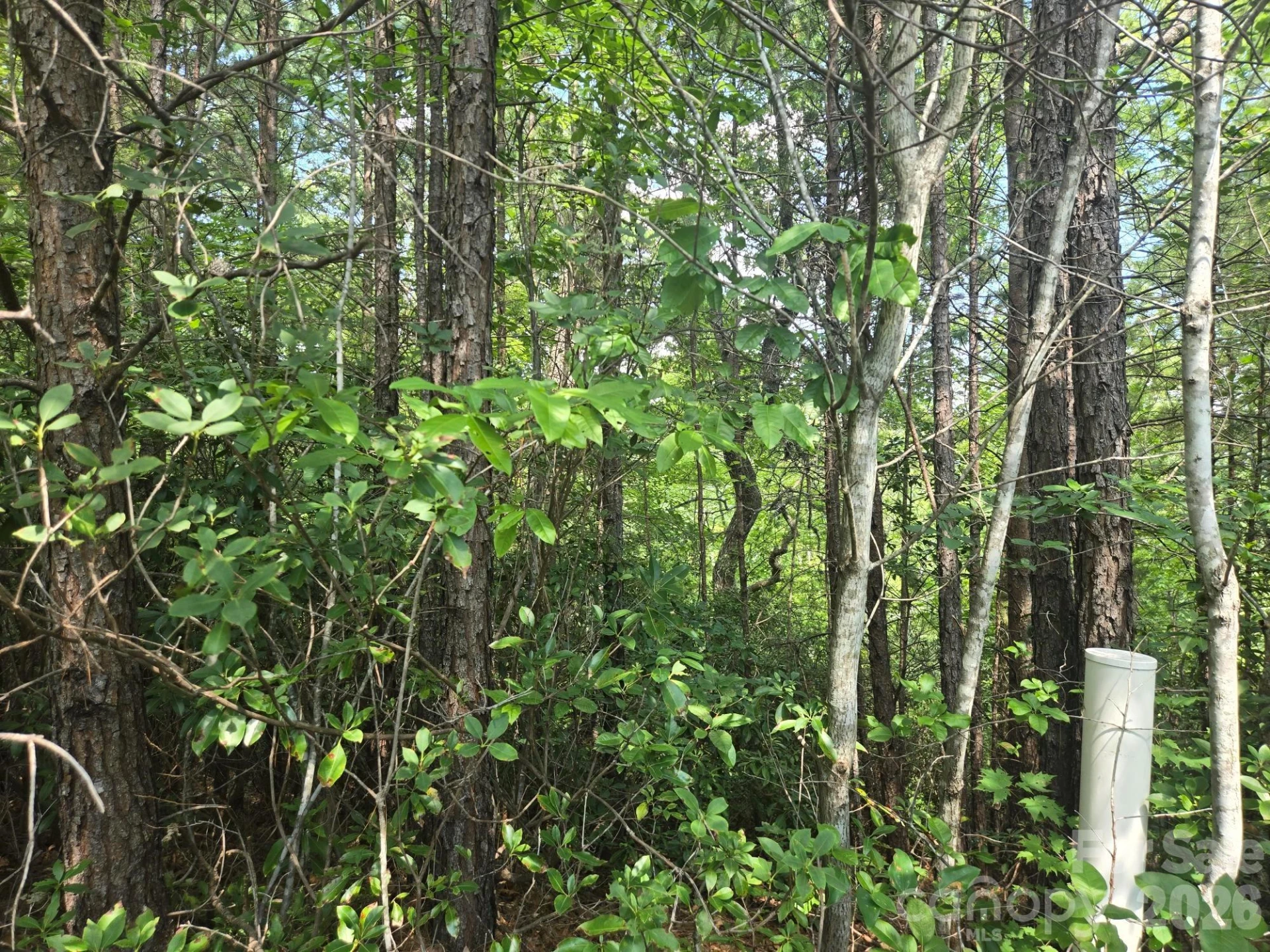 Lot 18 Highland Heights - Photo 9