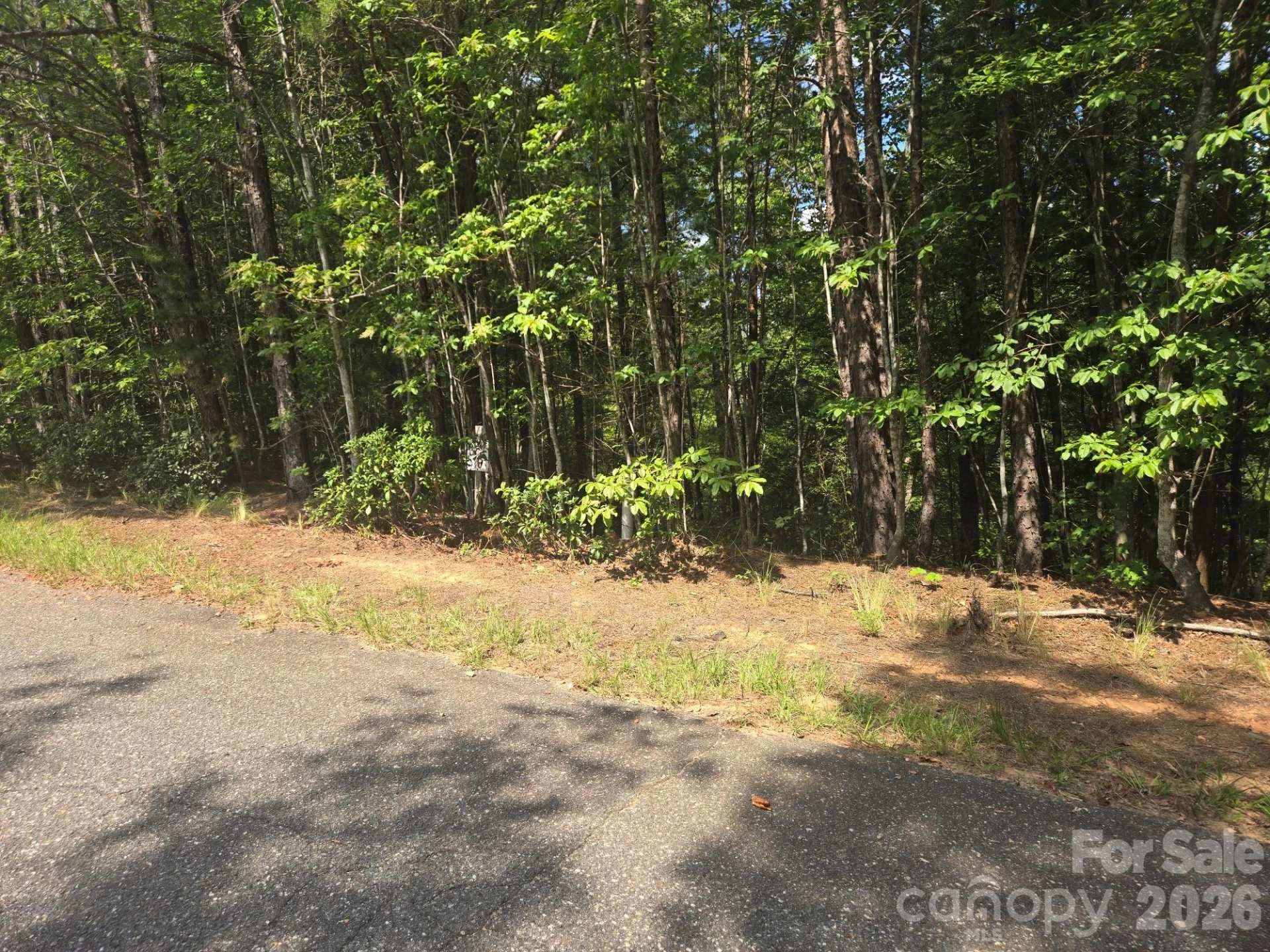 Lot 18 Highland Heights - Photo 10