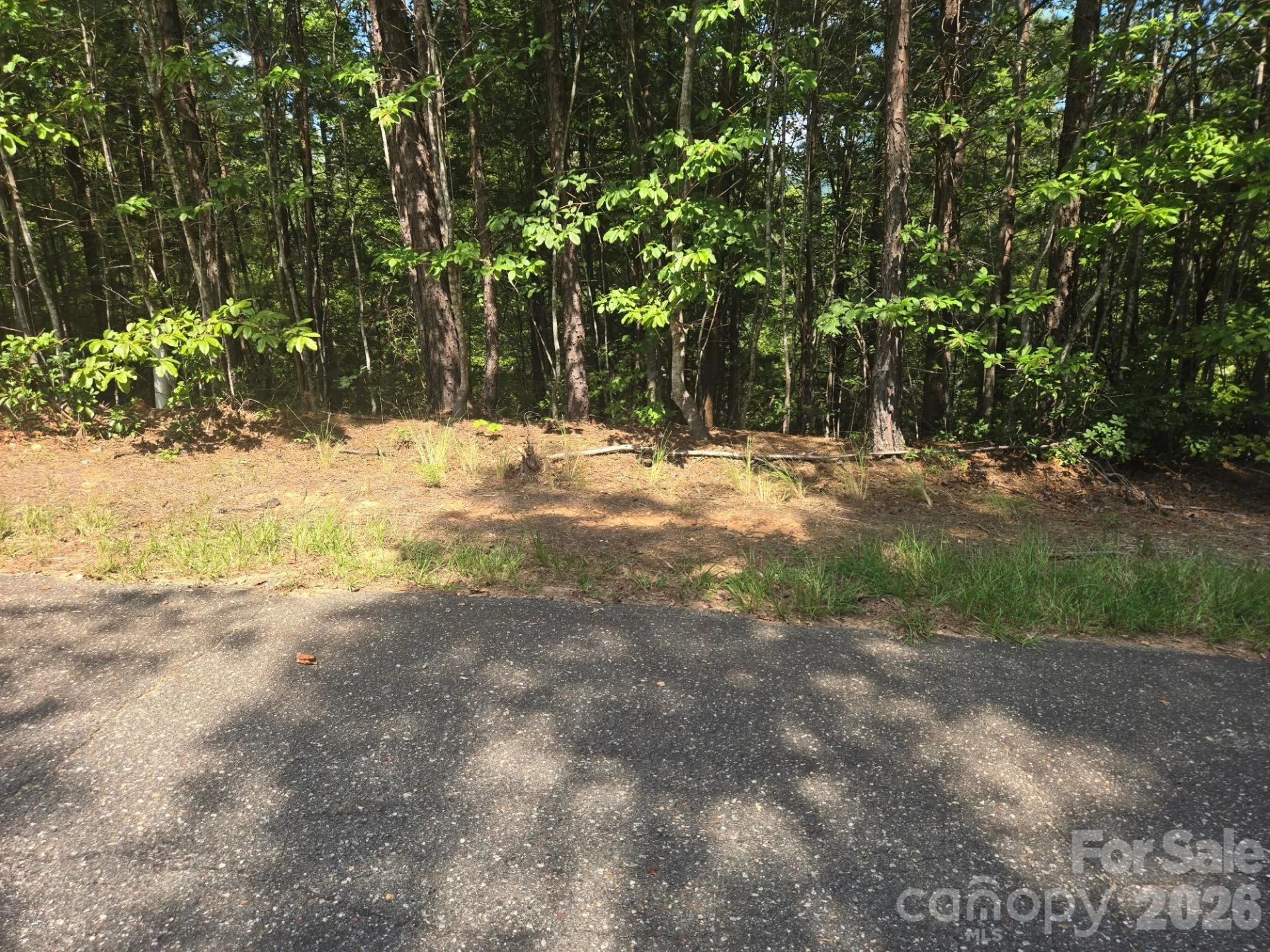 Lot 18 Highland Heights - Photo 11