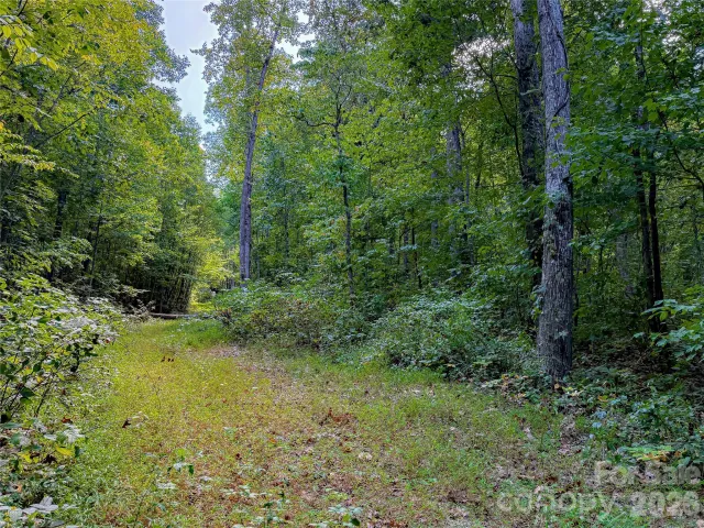 99999 High Top Mountain Road, Leicester, NC, 28748