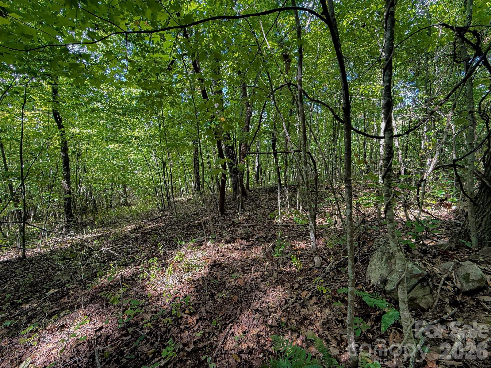 99999 High Top Mountain Road #Lot 2 - Photo 3
