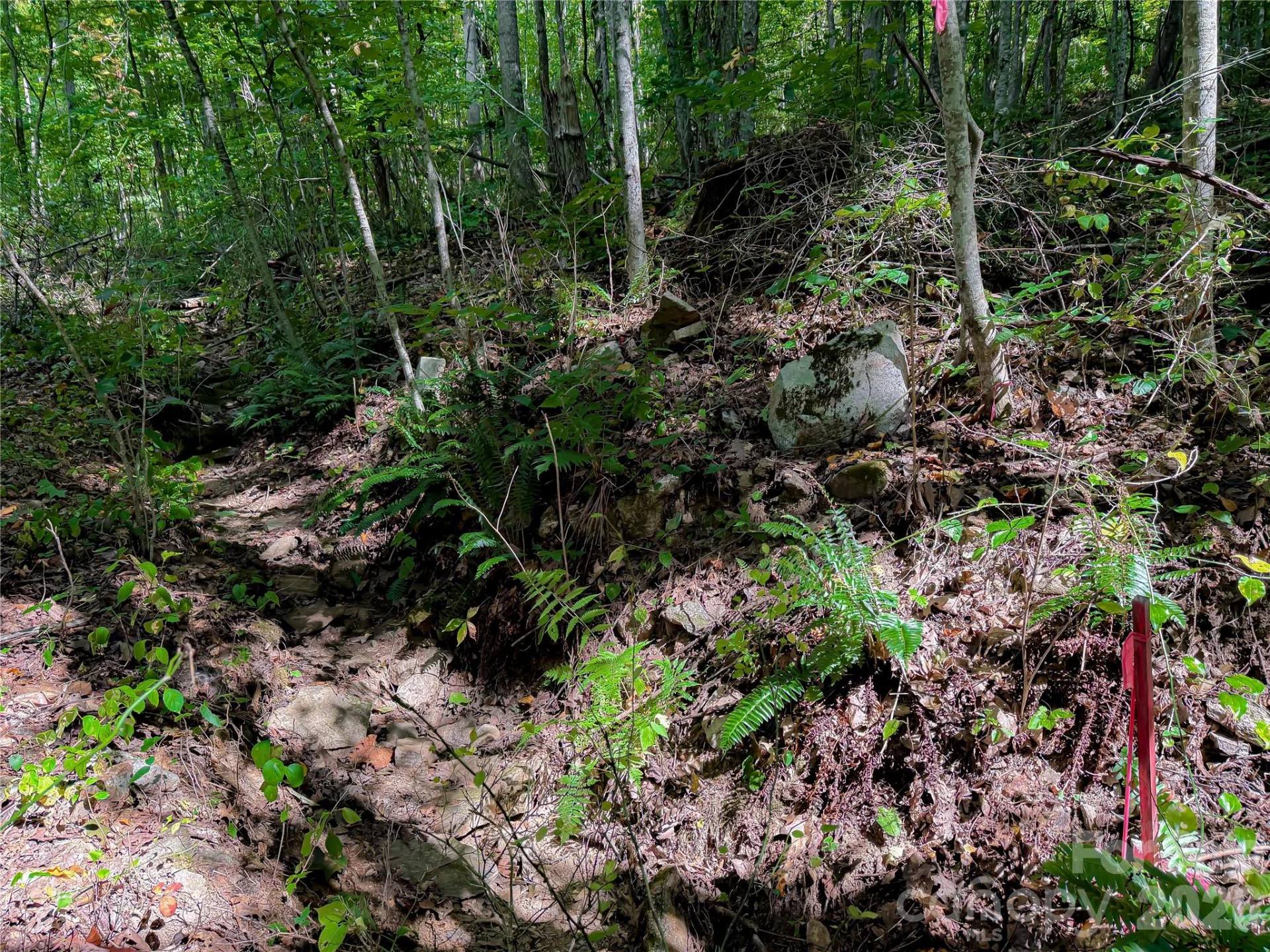 99999 High Top Mountain Road #Lot 2 - Photo 4