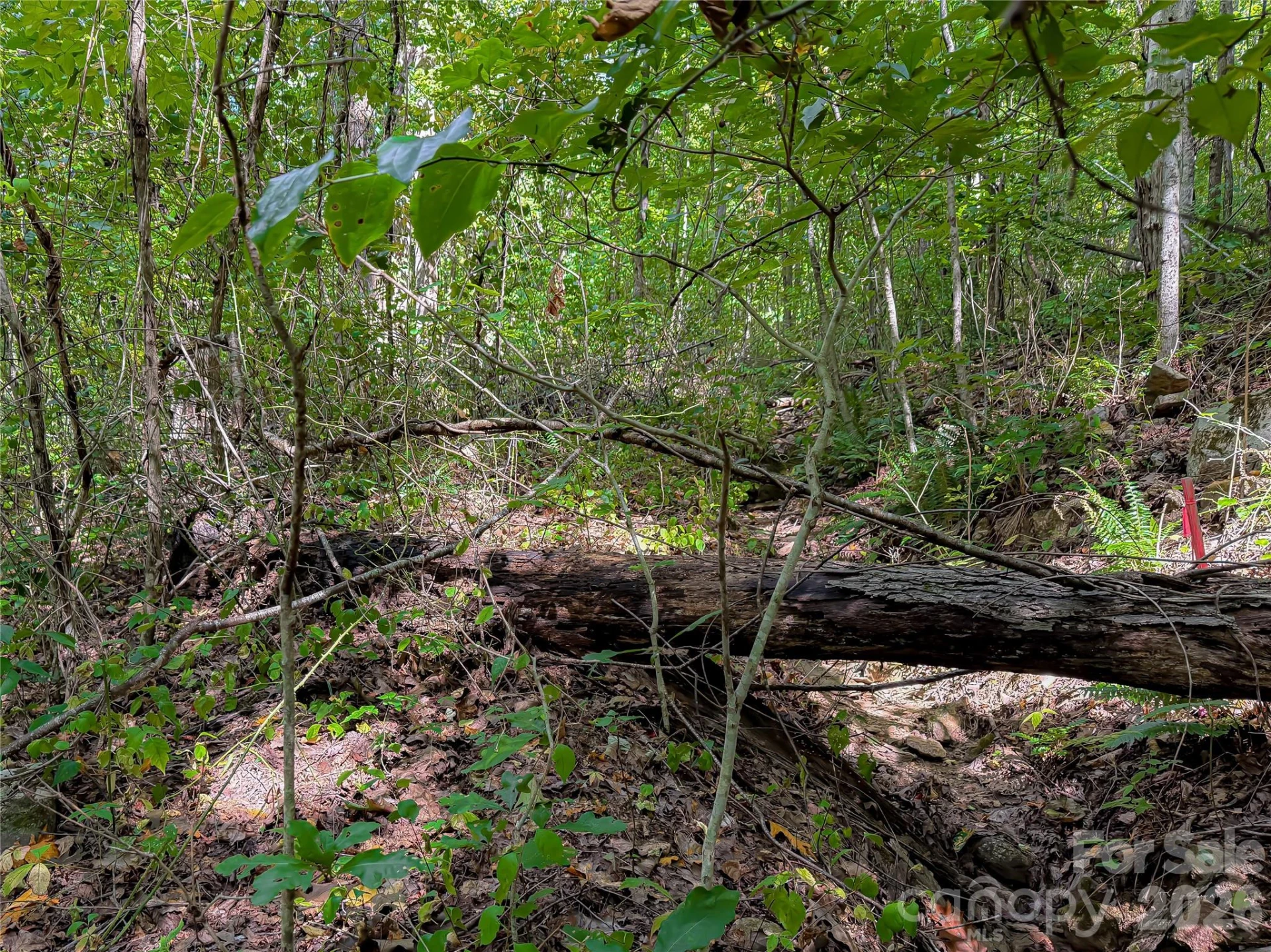 99999 High Top Mountain Road #Lot 2 - Photo 5