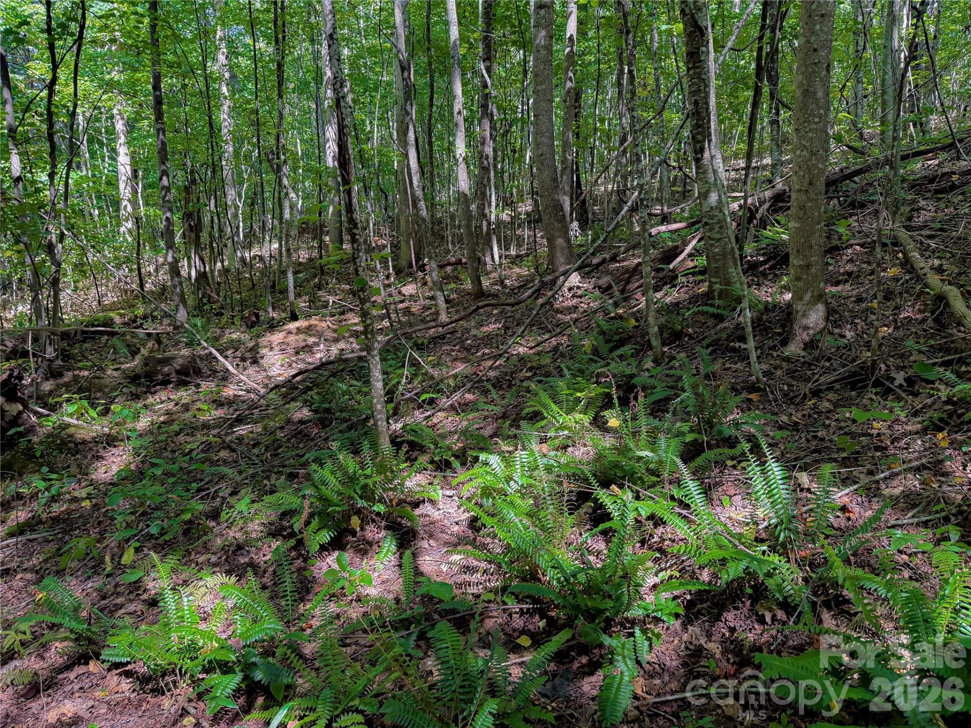 99999 High Top Mountain Road #Lot 2 - Photo 6