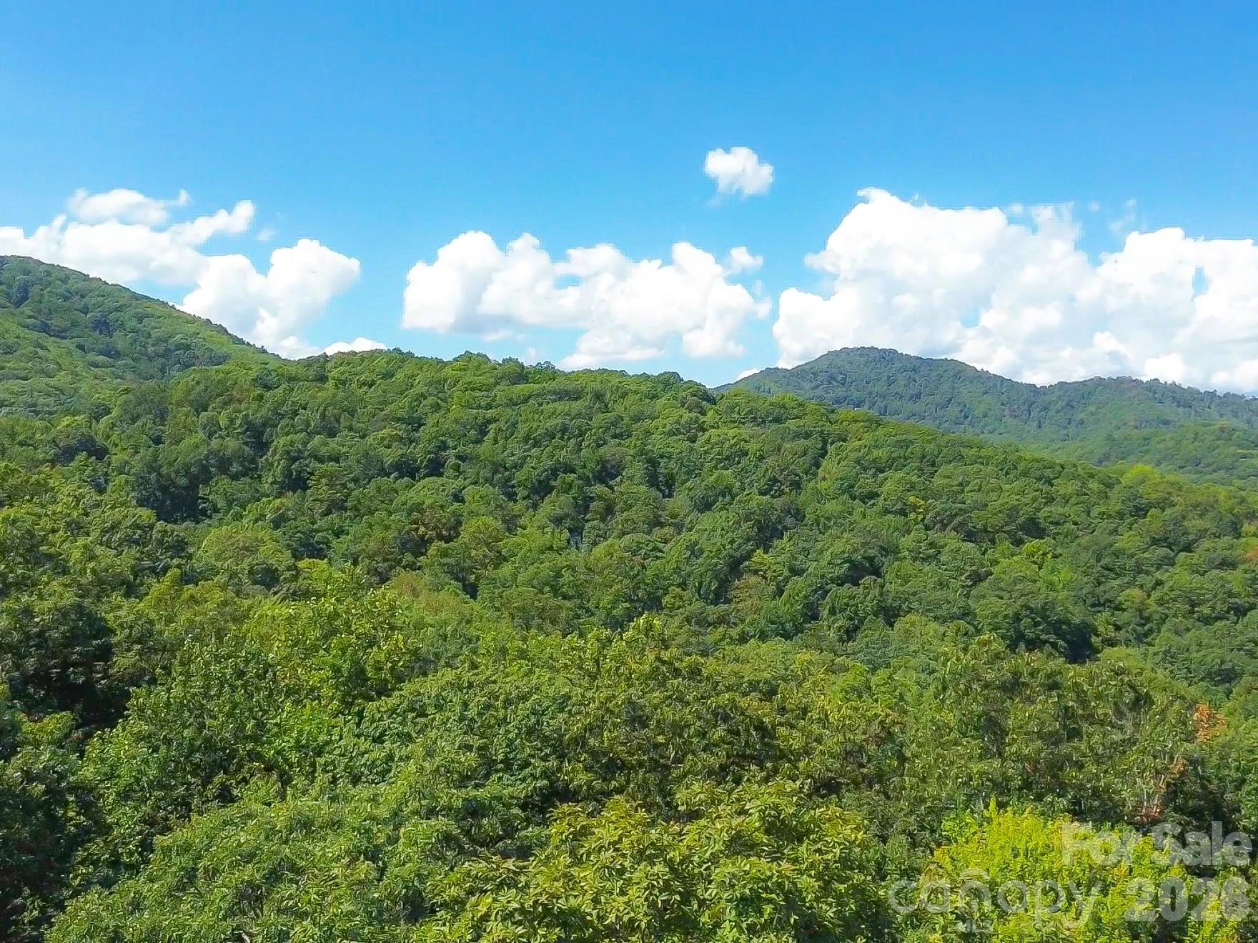 99999 High Top Mountain Road #Lot 3 - Photo 2