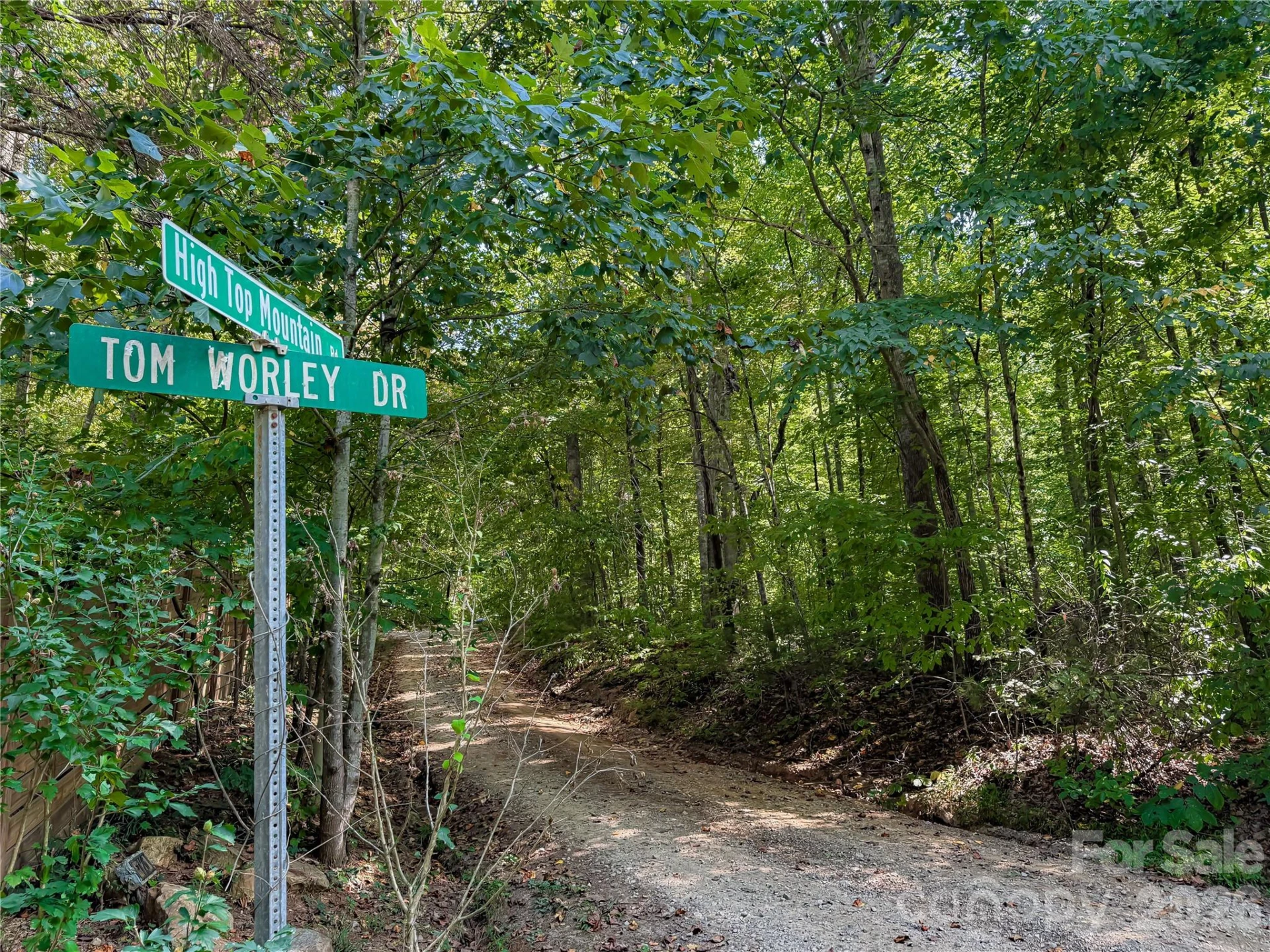 99999 High Top Mountain Road #Lot 3 - Photo 4