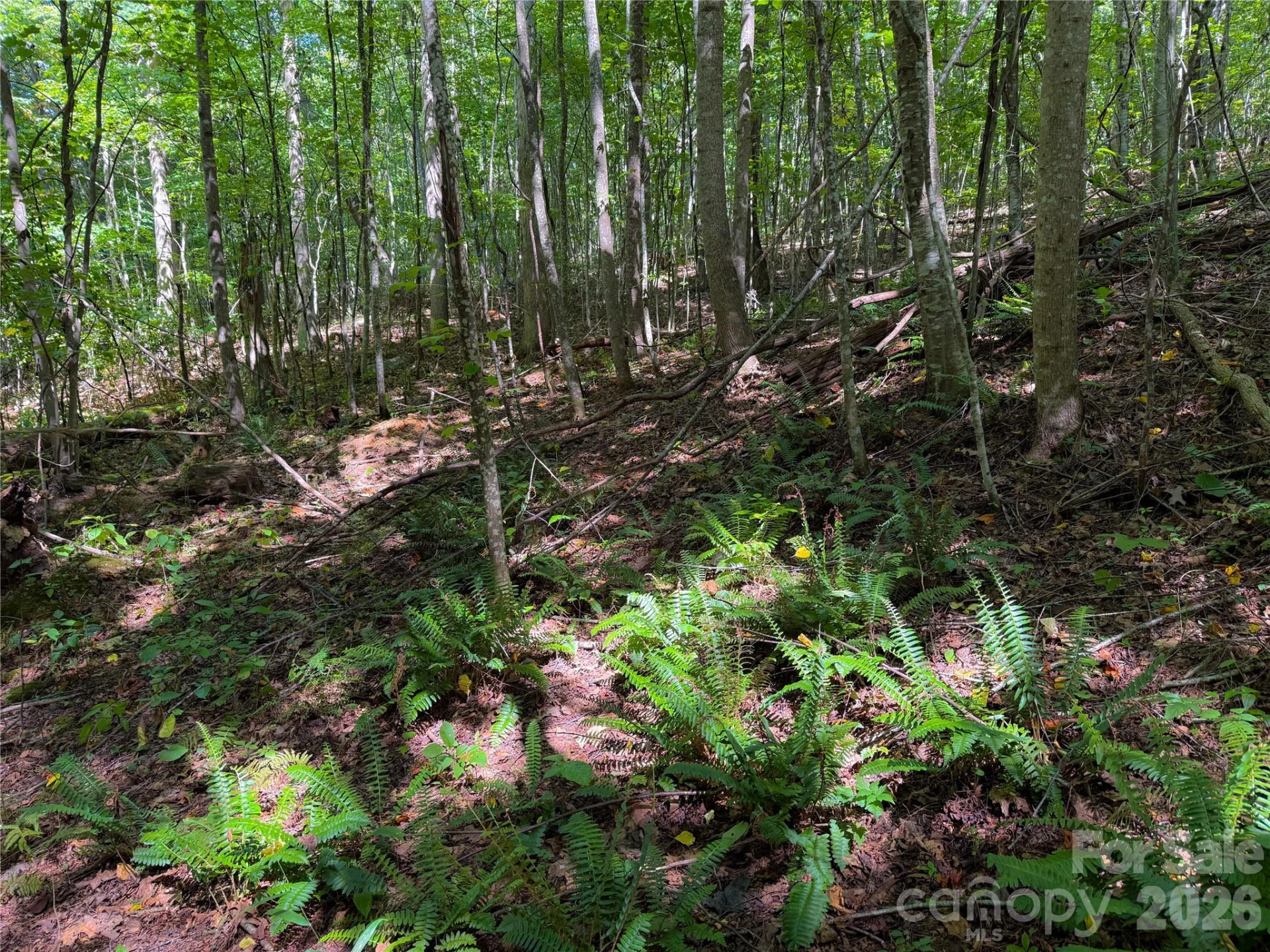 99999 High Top Mountain Road #Lot 3 - Photo 6