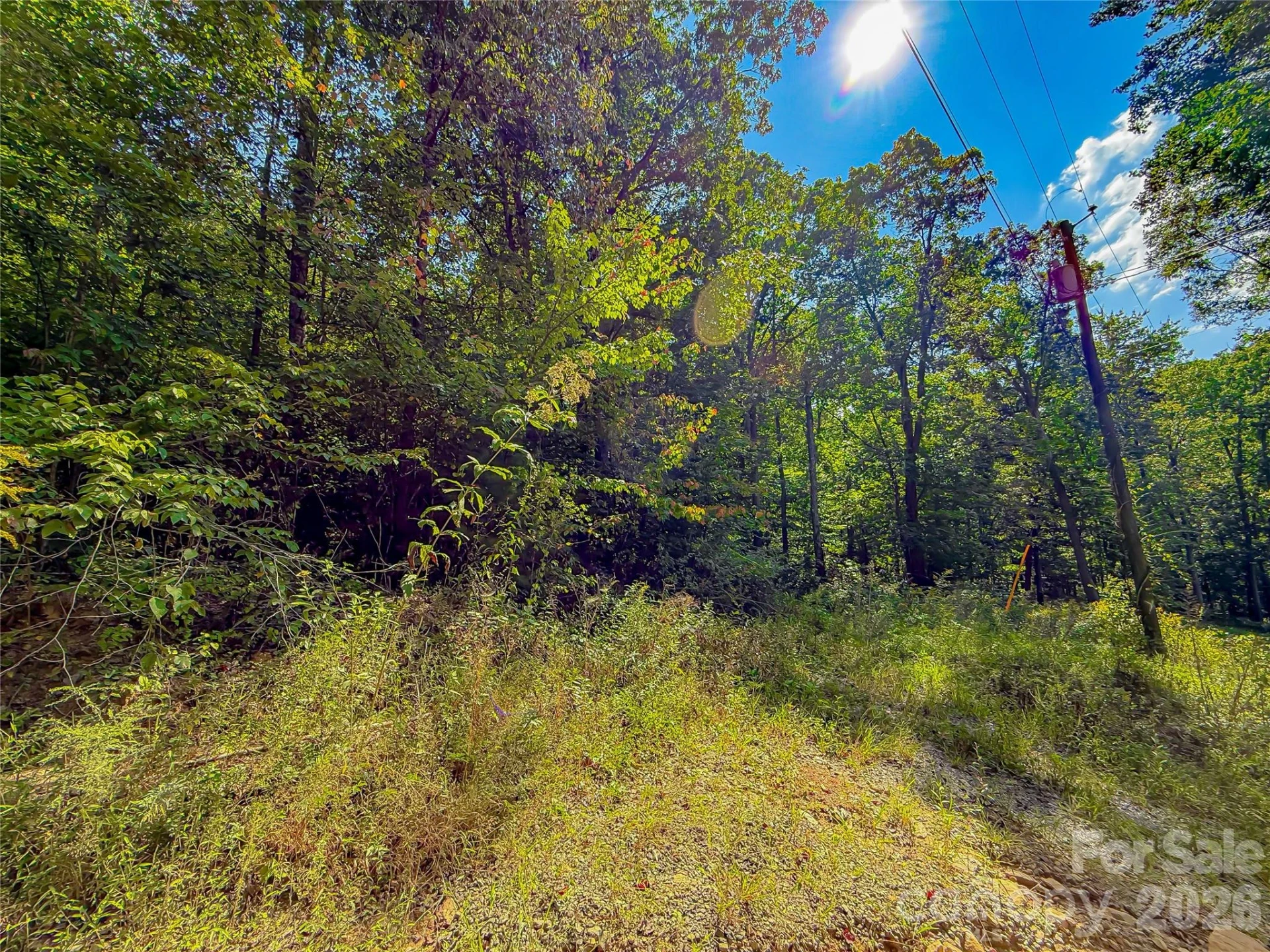 99999 High Top Mountain Road #Lot 3 - Photo 7