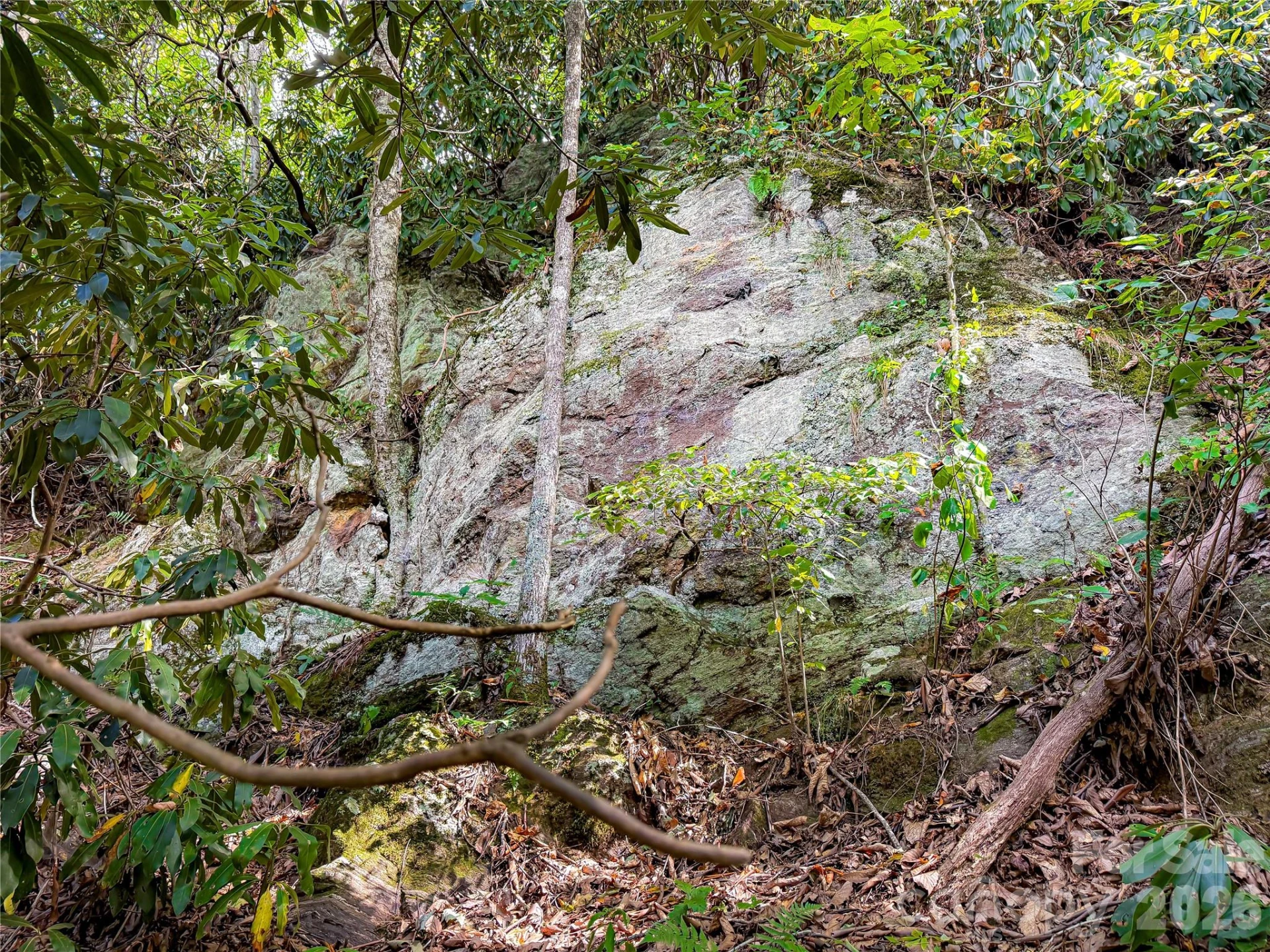 99999 High Top Mountain Road #Lot 3 - Photo 9
