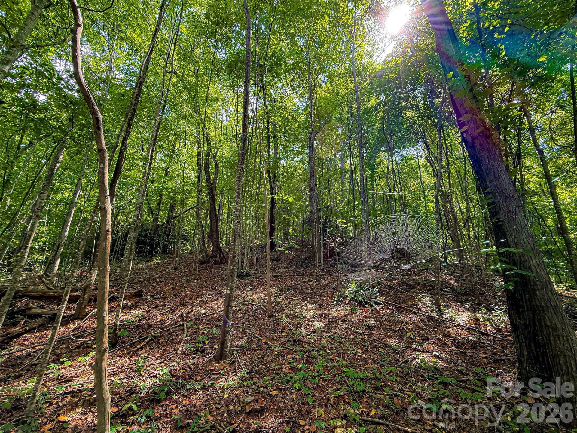 99999 High Top Mountain Road #Lot 3 - Photo 12