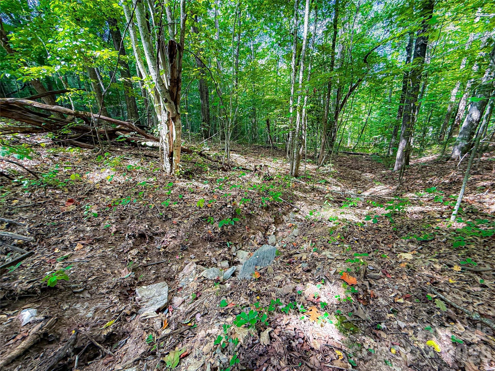 99999 High Top Mountain Road #Lot 3 - Photo 14