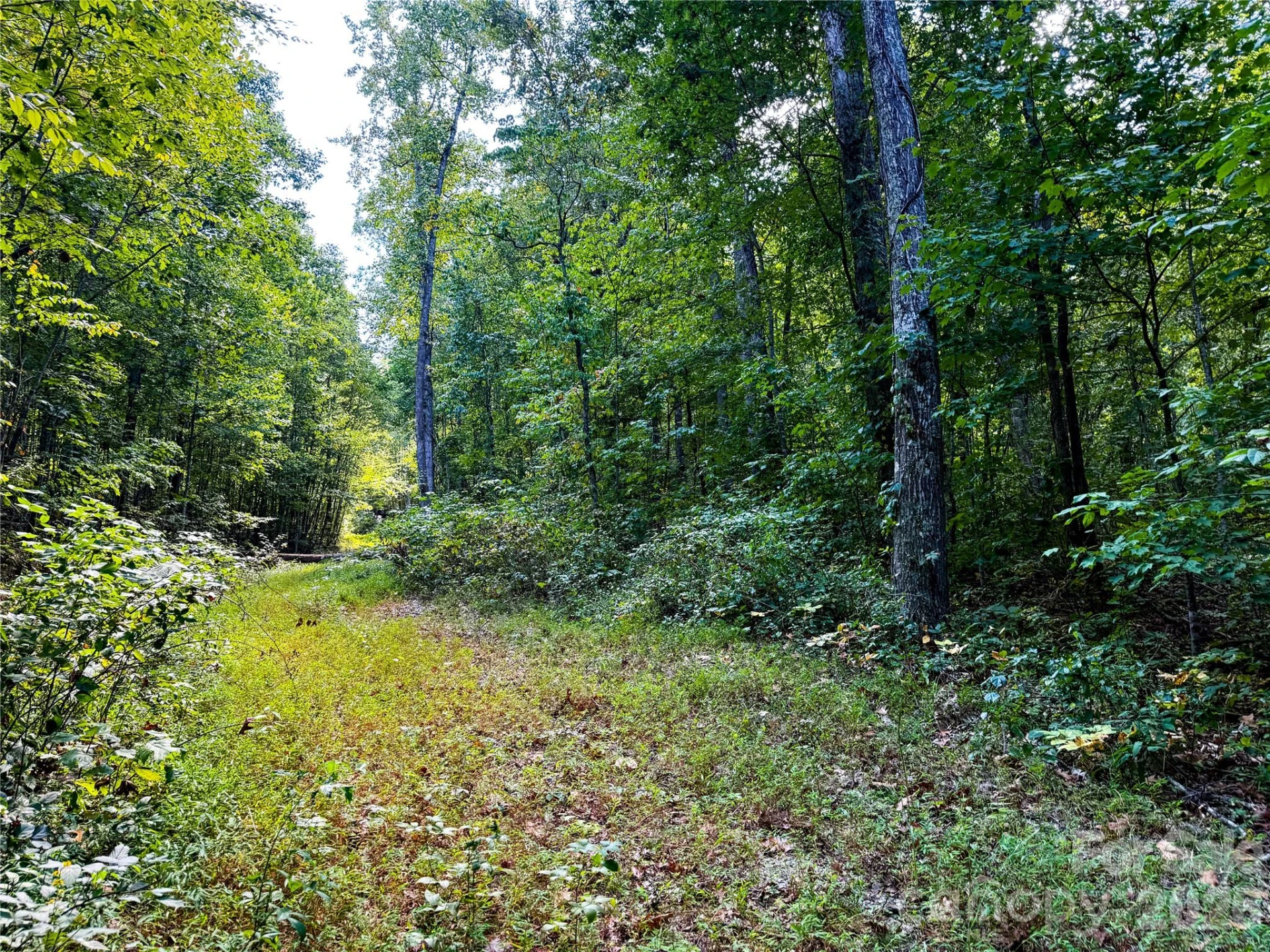 99999 High Top Mountain Road #Lot 3 - Photo 15