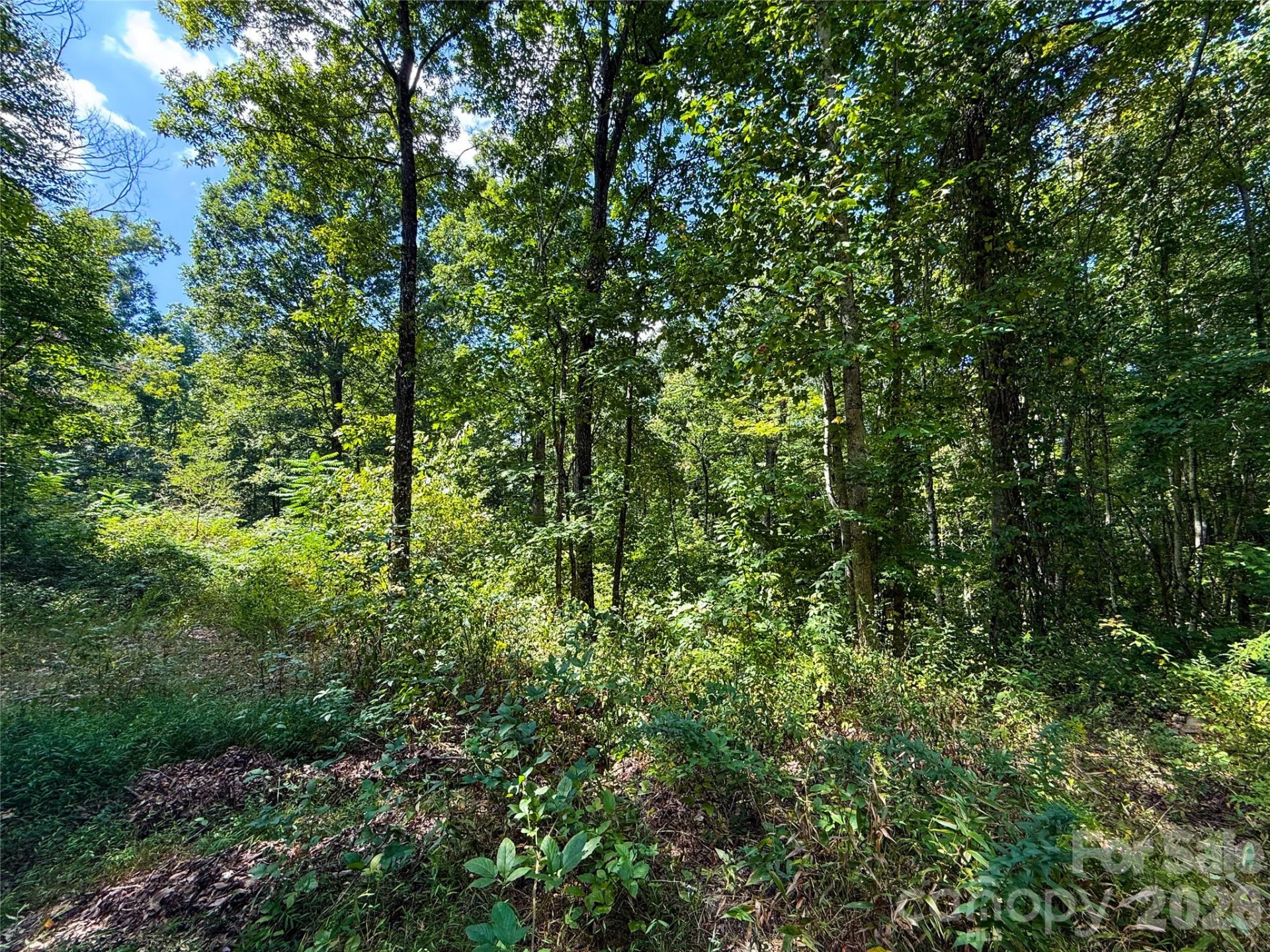 99999 High Top Mountain Road #Lot 3 - Photo 16