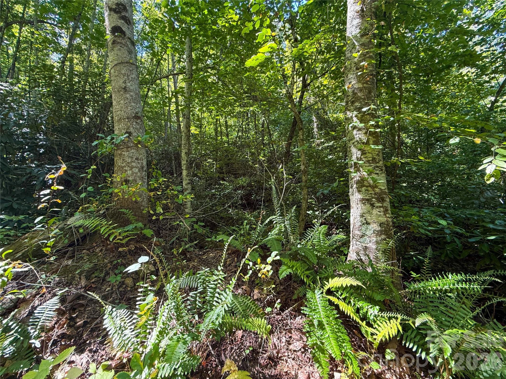 99999 High Top Mountain Road #Lot 3 - Photo 17