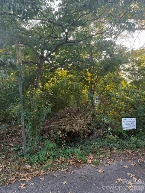 99999 Reese Street - Photo 2