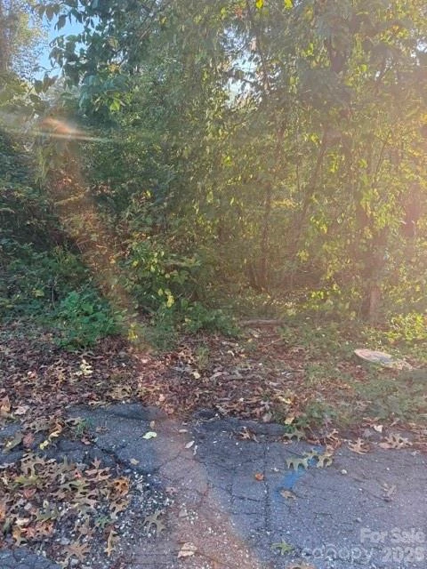 99999 Reese Street - Photo 3