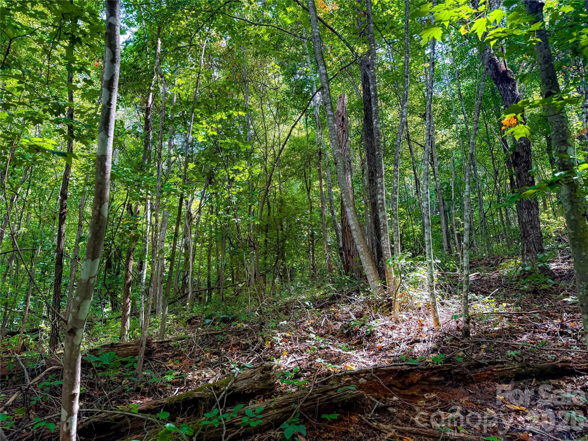 99999 High Top Mountain Road #Lots 1, 2 & 3 - Photo 13