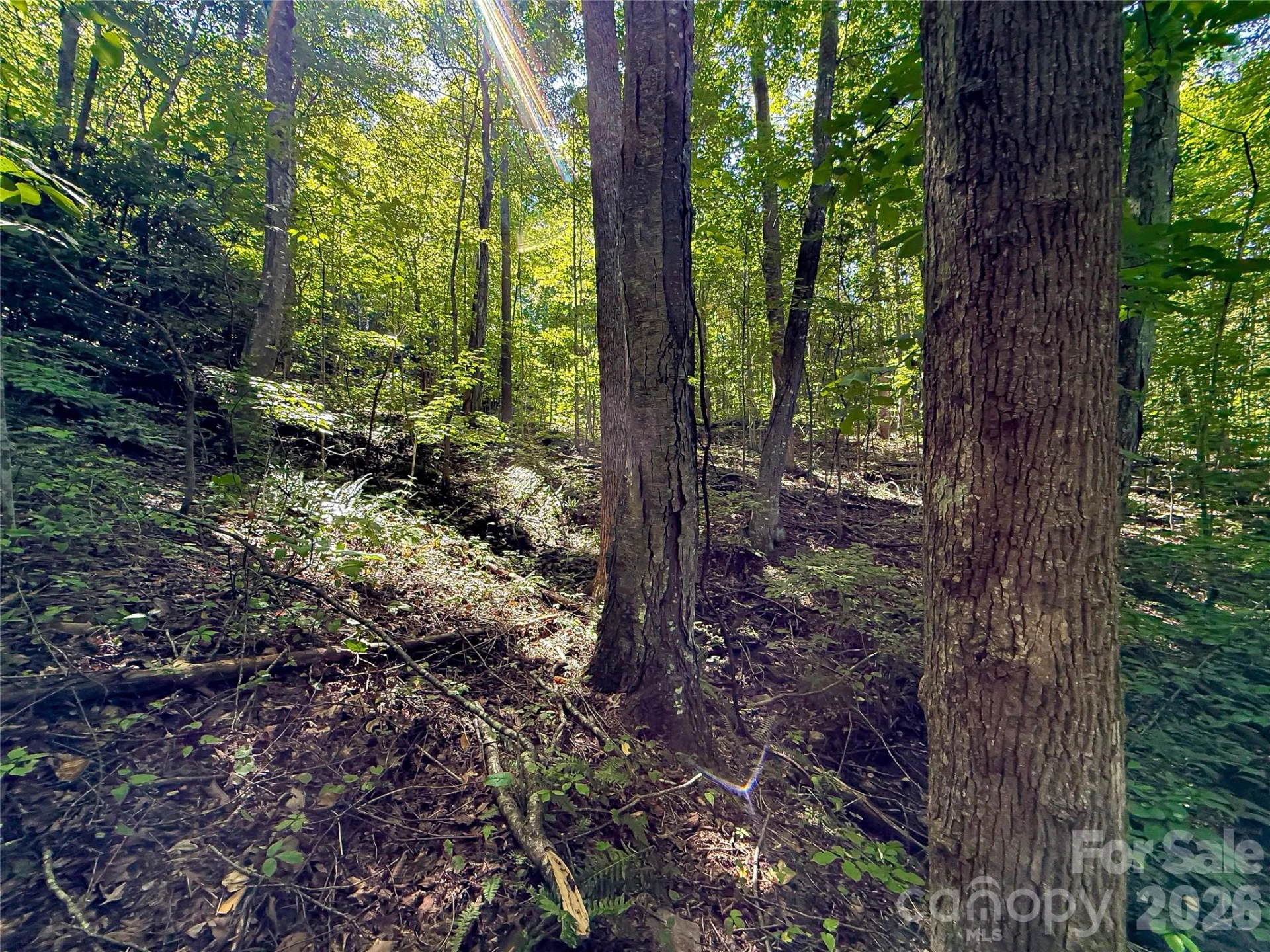99999 High Top Mountain Road #Lots 1, 2 & 3 - Photo 16