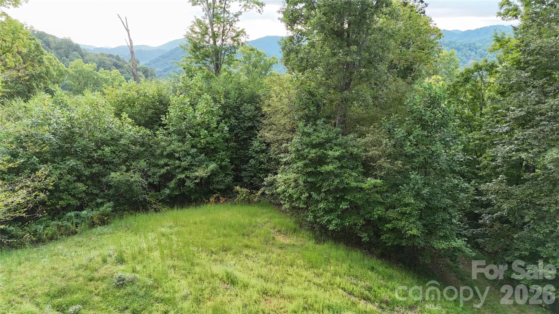 200 and 201 Fern Hill Drive - Photo 3