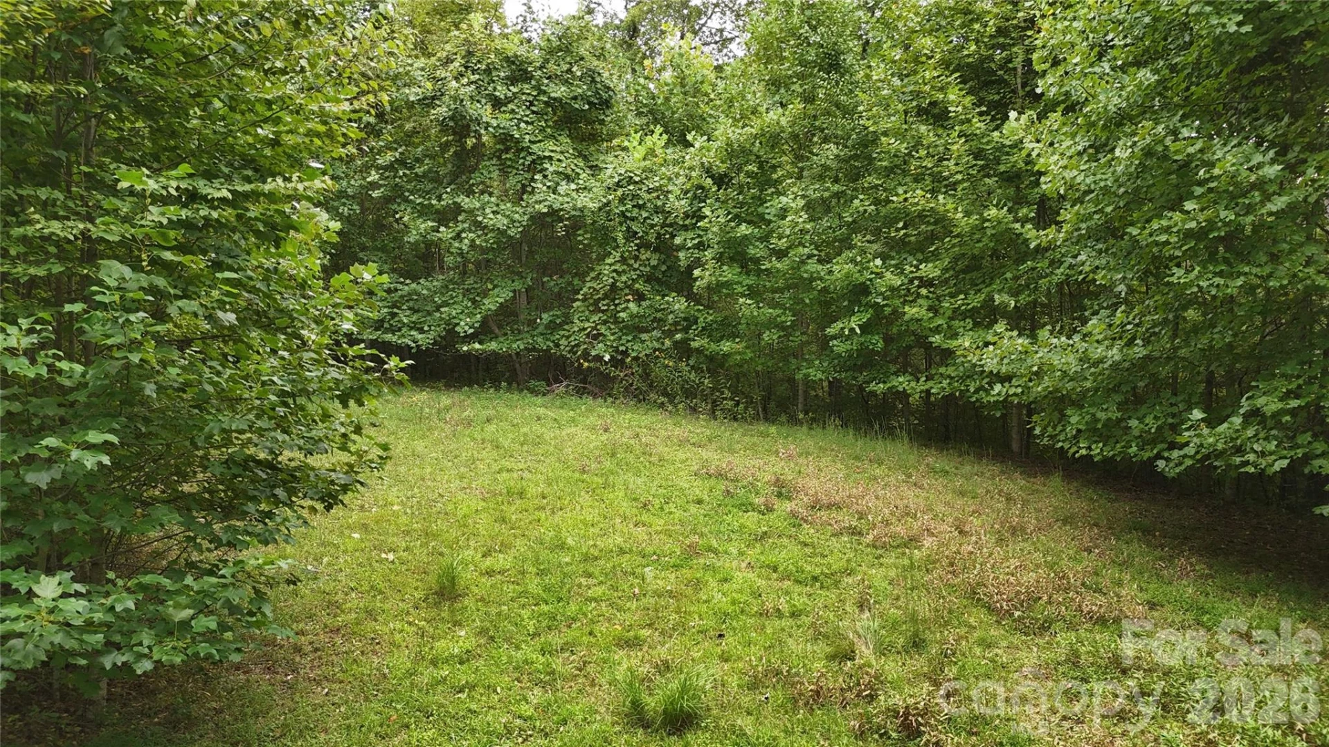 200 and 201 Fern Hill Drive - Photo 5