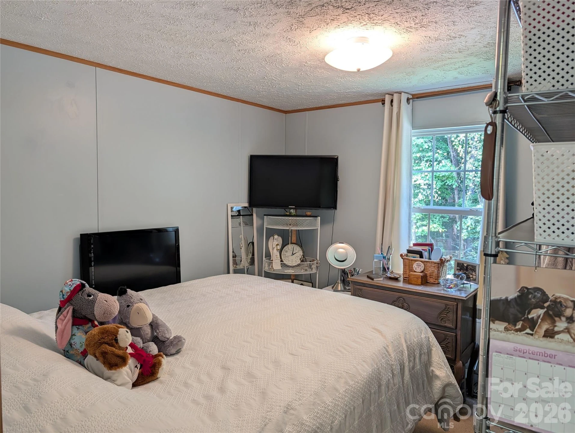 29 Herschel King Drive - Photo 11