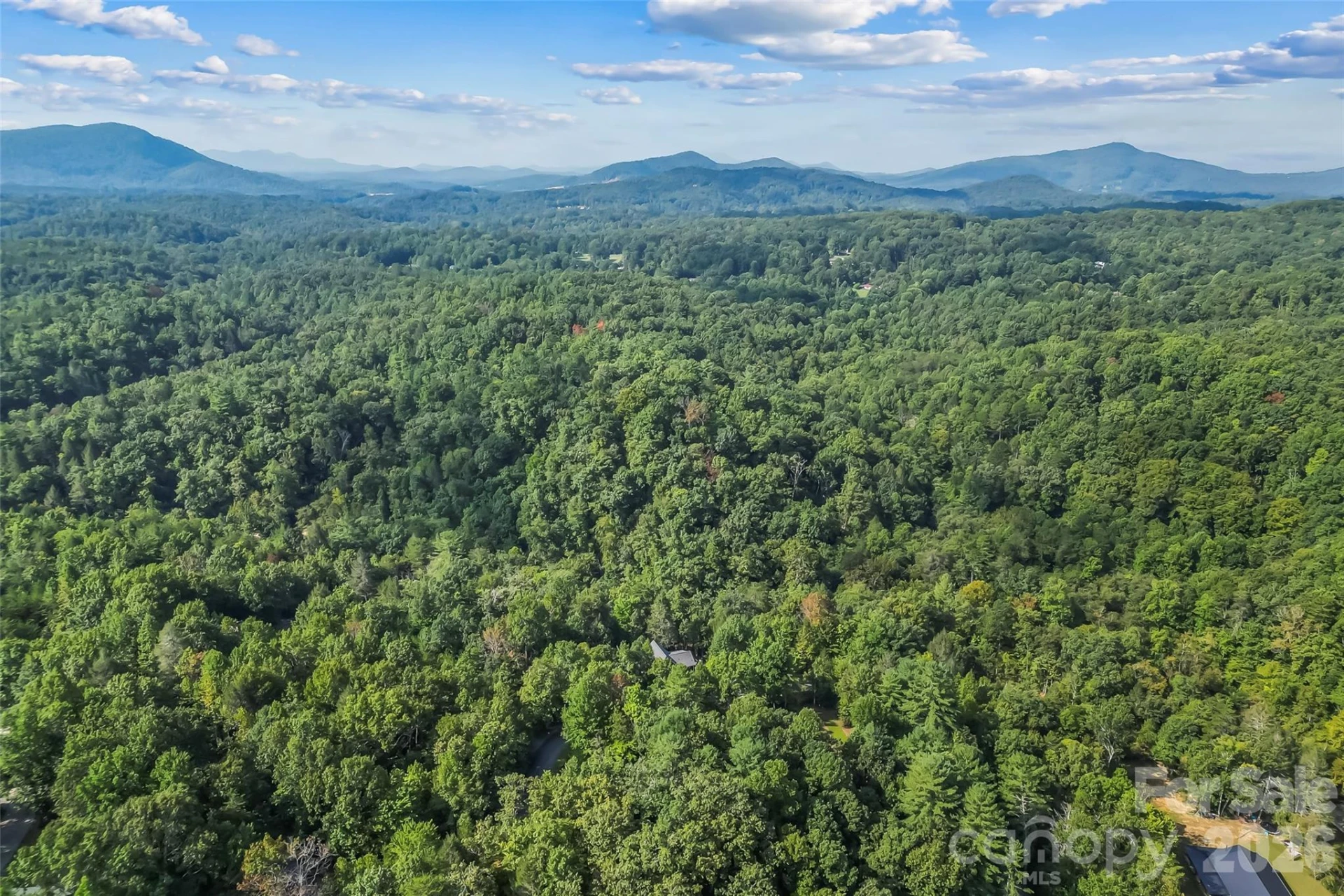 314 Old Mill Road - Photo 37