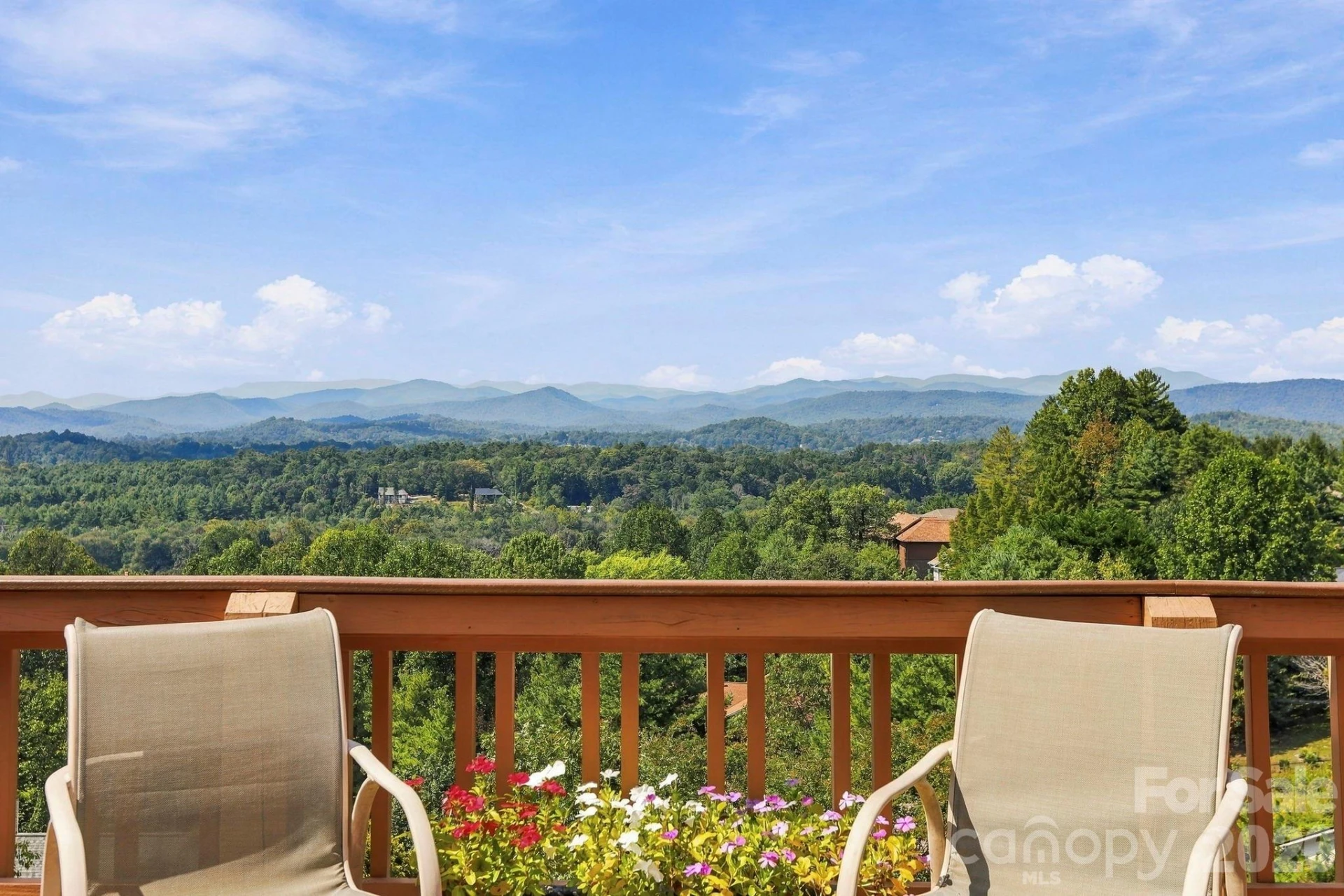 244 Mountain Valley Drive - Photo 3