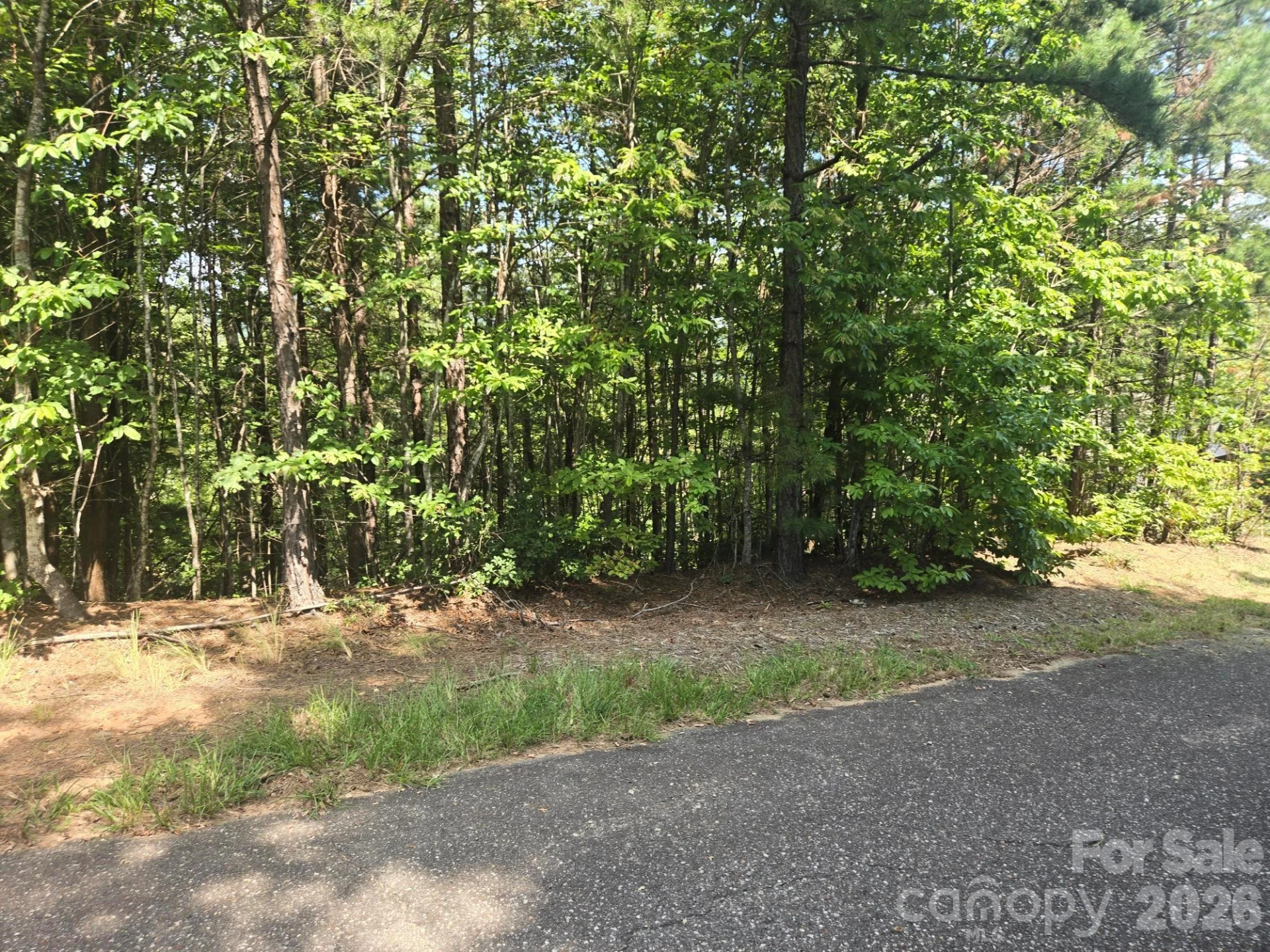 Lot 16 Highland Heights - Photo 6