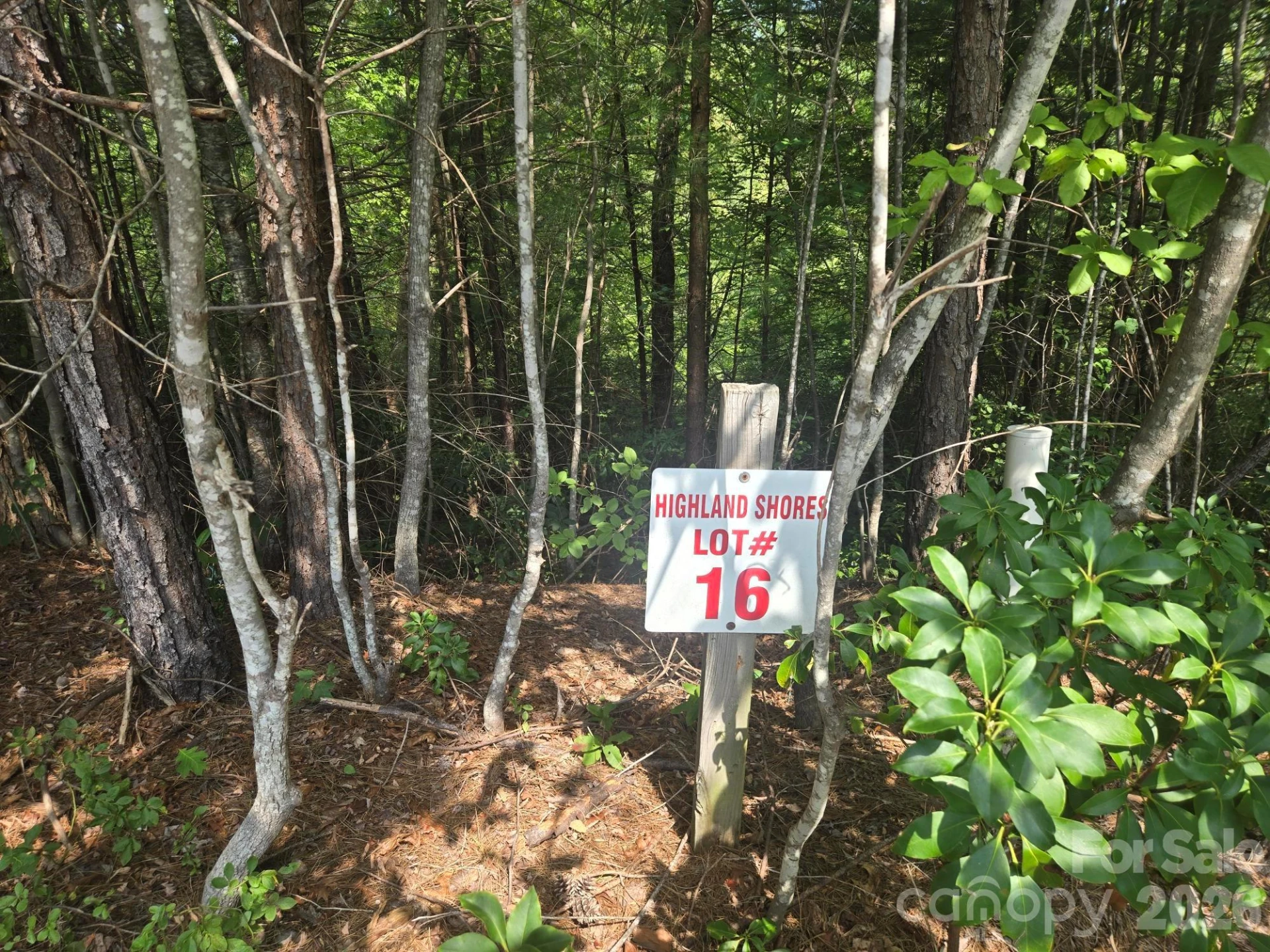 Lot 16 Highland Heights - Photo 7