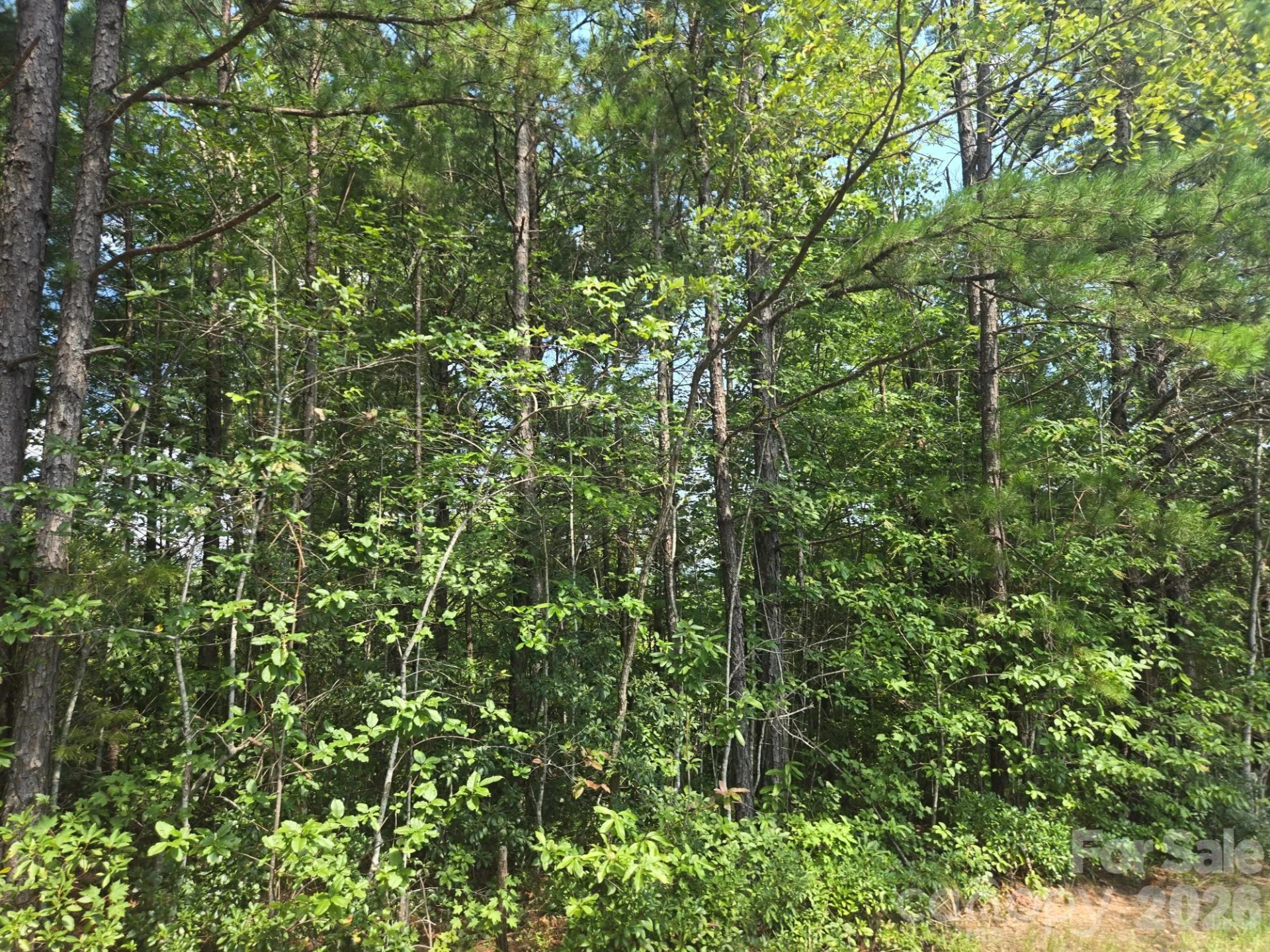 Lot 16 Highland Heights - Photo 8