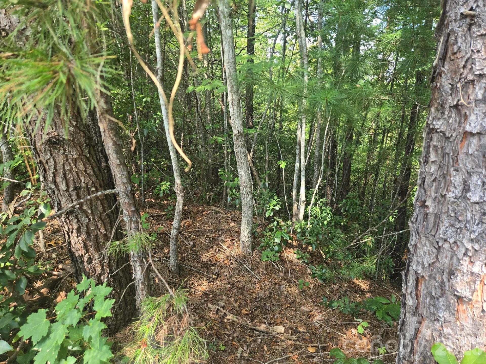 Lot 16 Highland Heights - Photo 10