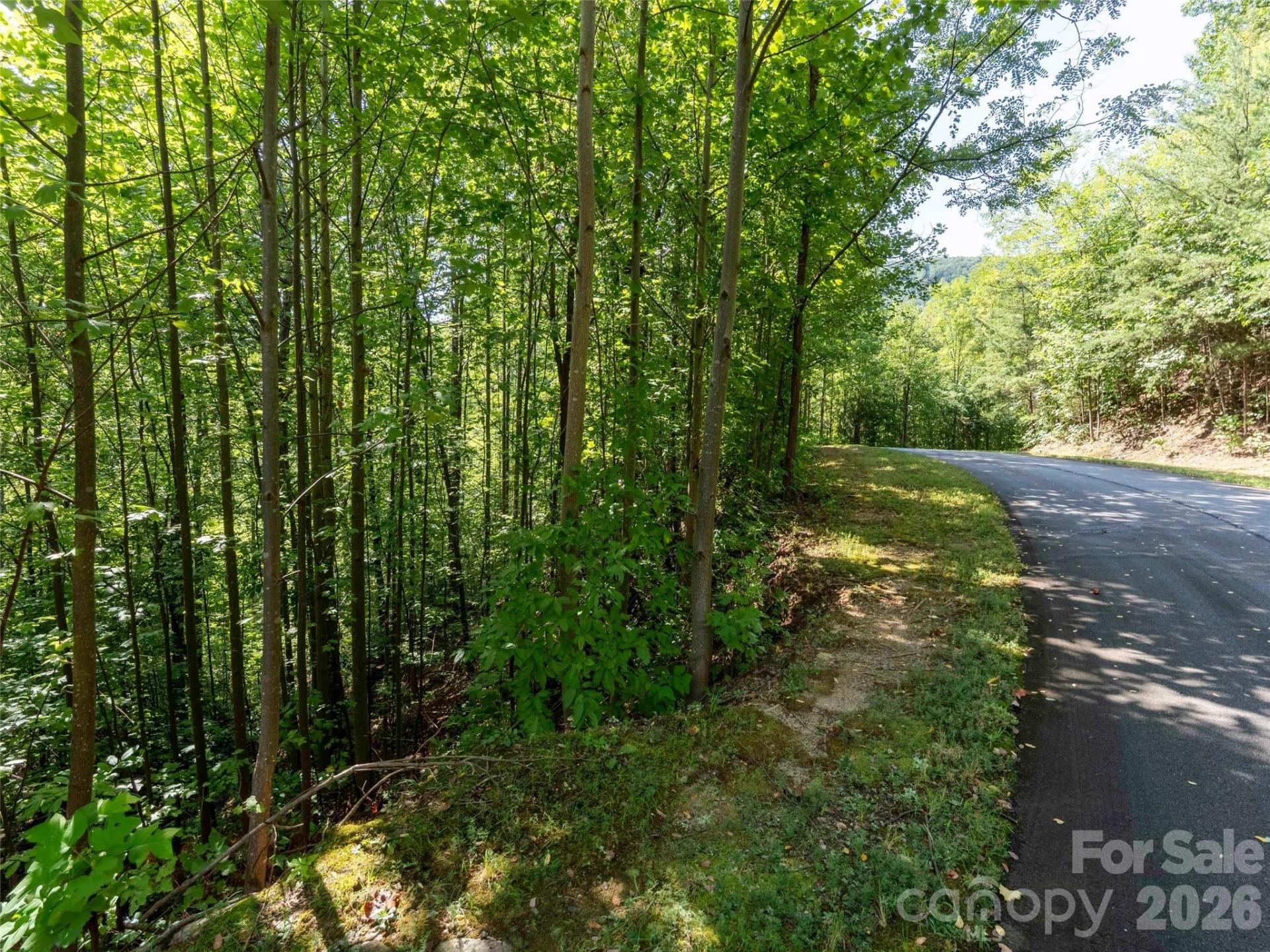 0 Anthony Court #2070 - Photo 2