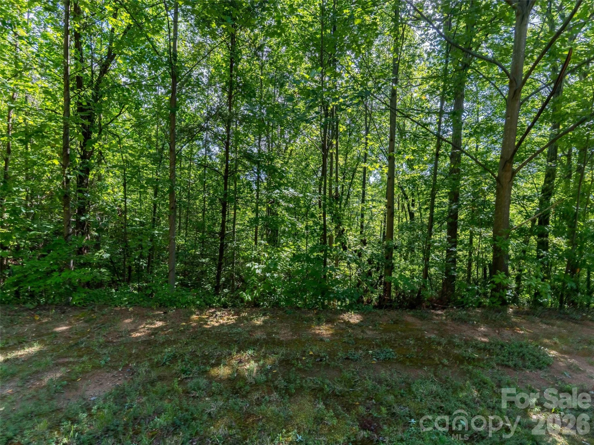 0 Anthony Court #2070 - Photo 4