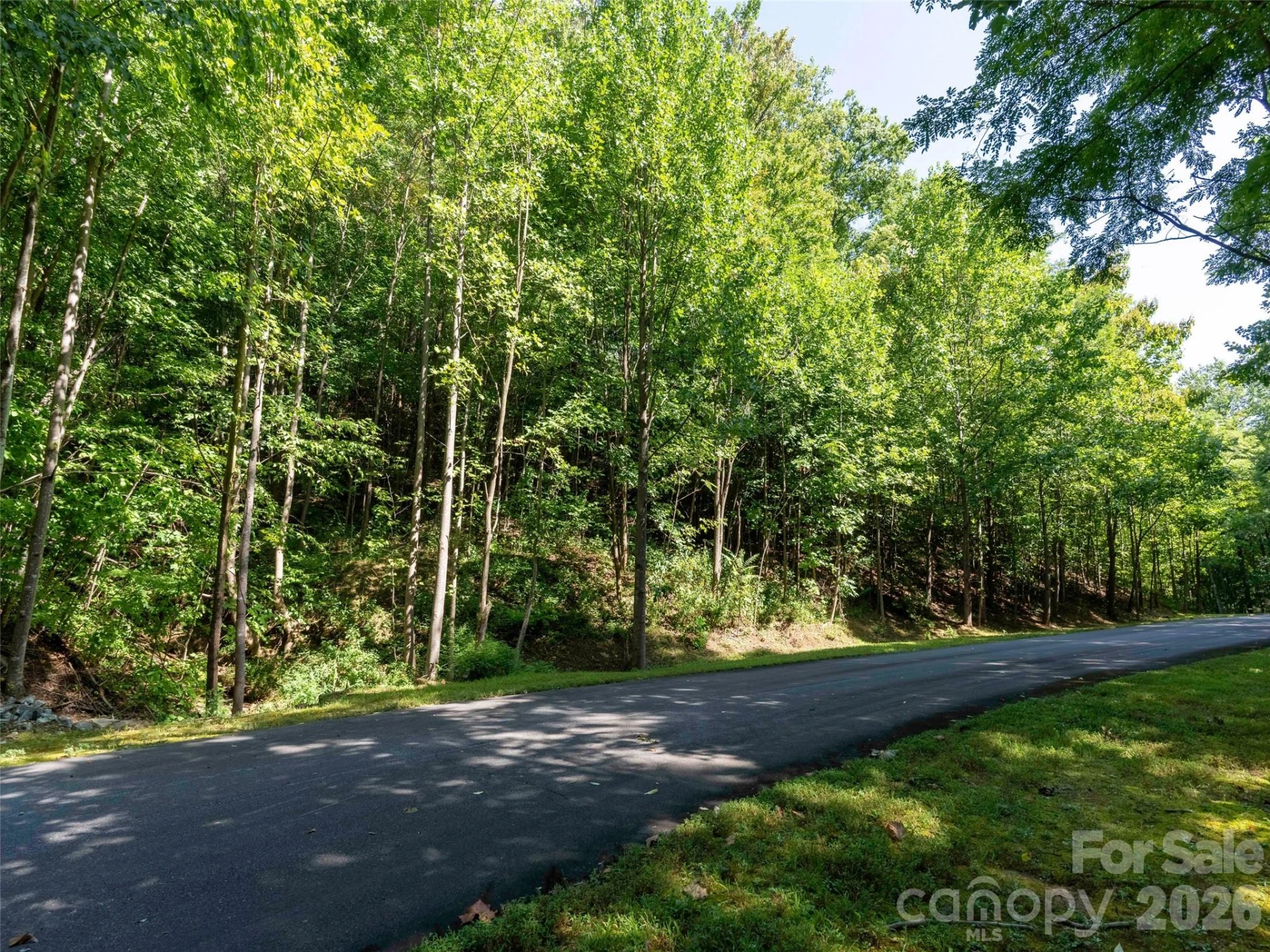 0 Harm Creek Loop #2142 - Photo 2