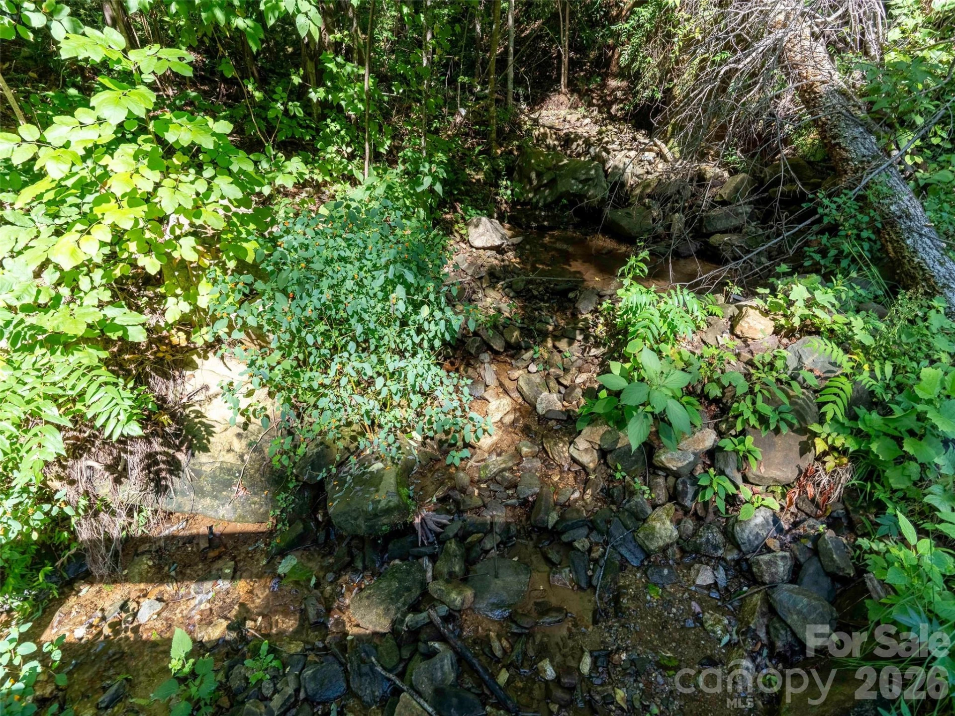 0 Harm Creek Loop #2142 - Photo 3
