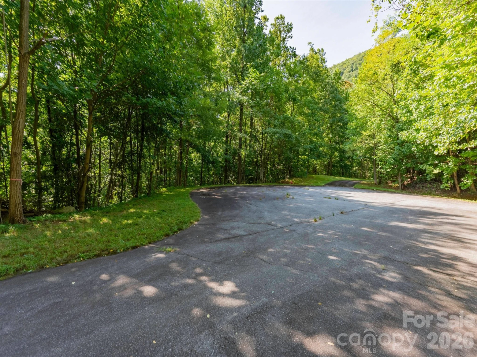 0 Harm Creek Loop #2142 - Photo 4