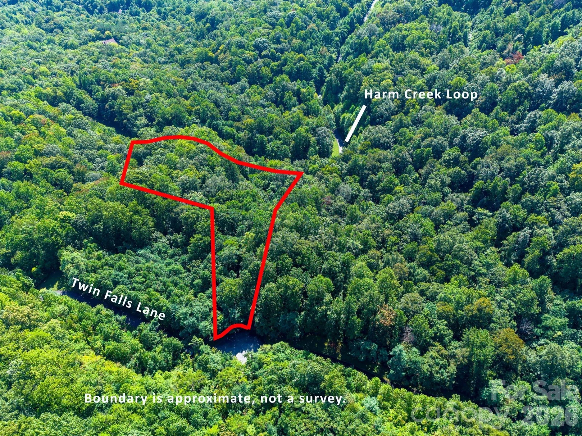 0 Harm Creek Loop #2142 - Photo 11