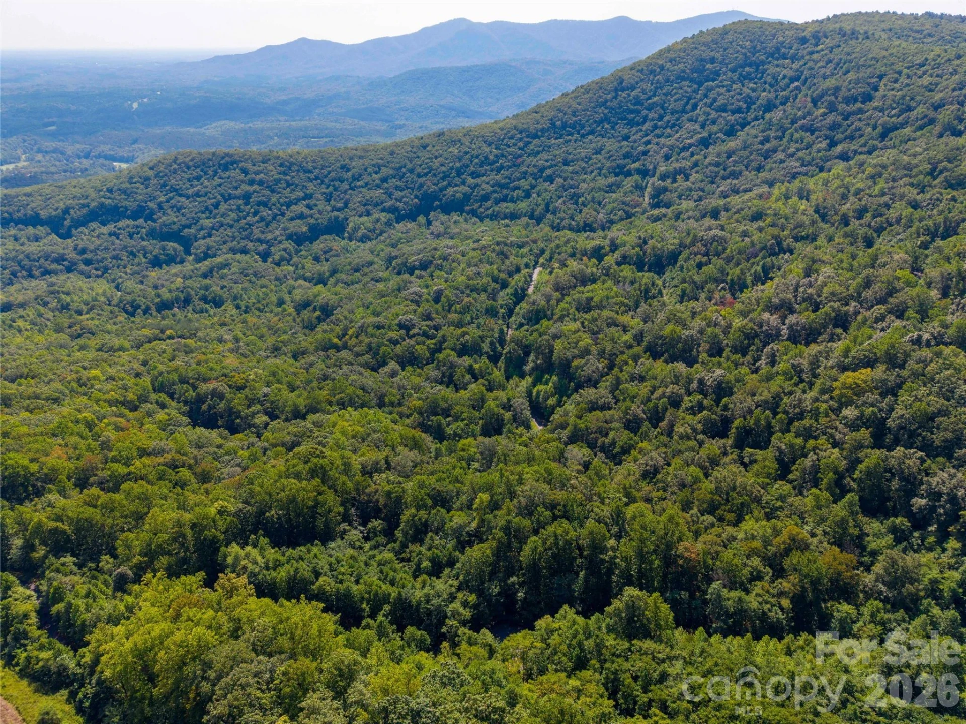 0 Harm Creek Loop #2142 - Photo 13
