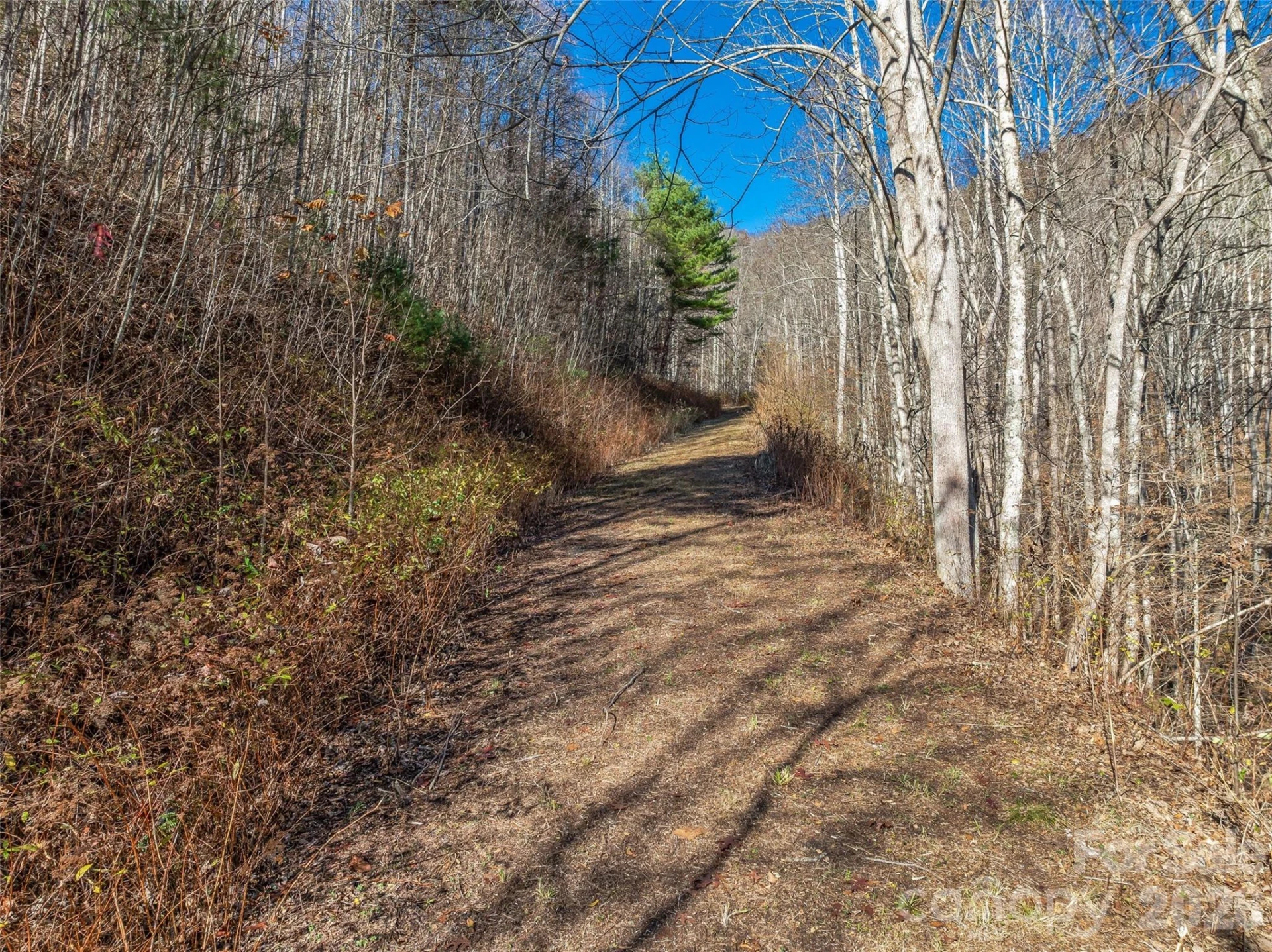TBD Walnut Creek Road - Photo 2