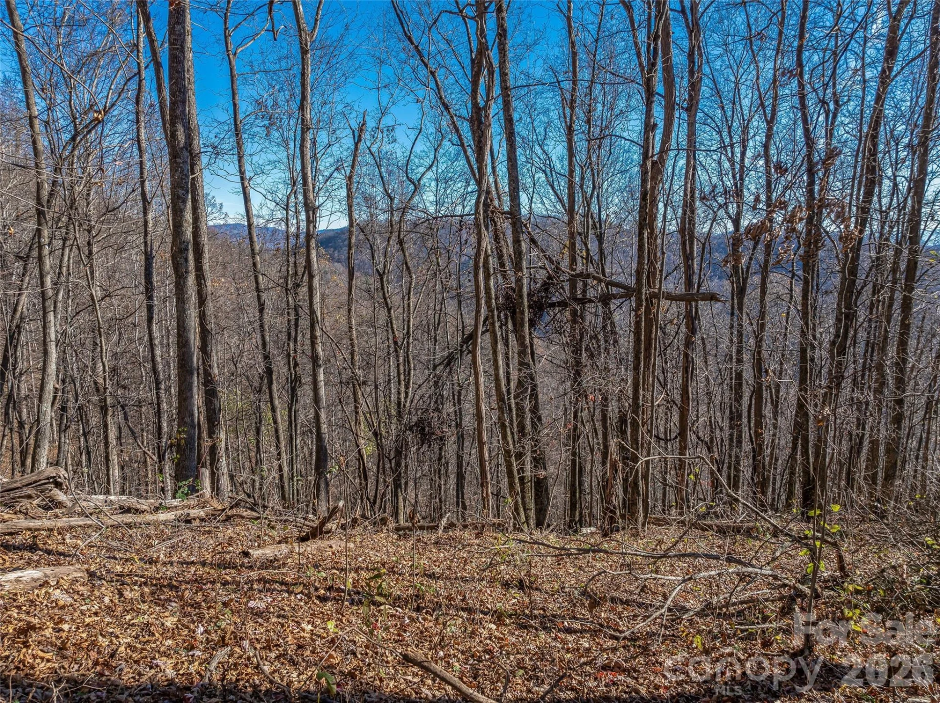 TBD Walnut Creek Road - Photo 3
