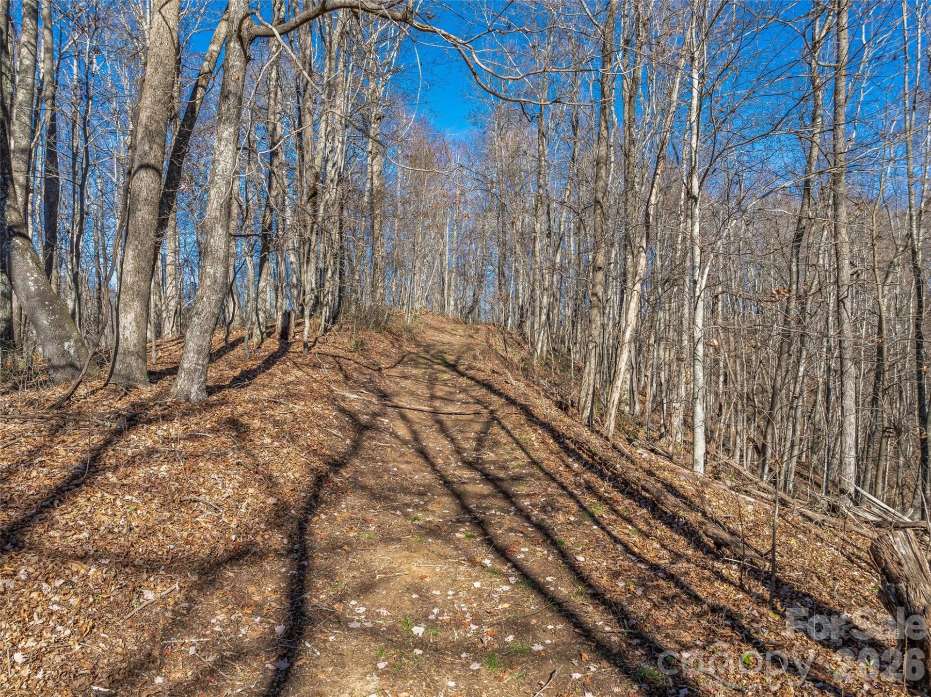 TBD Walnut Creek Road - Photo 4