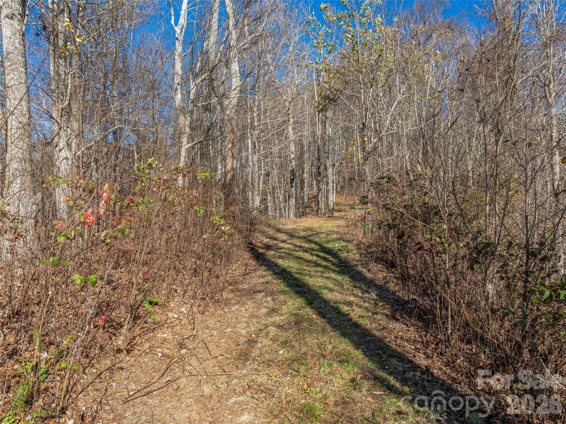 TBD Walnut Creek Road - Photo 5