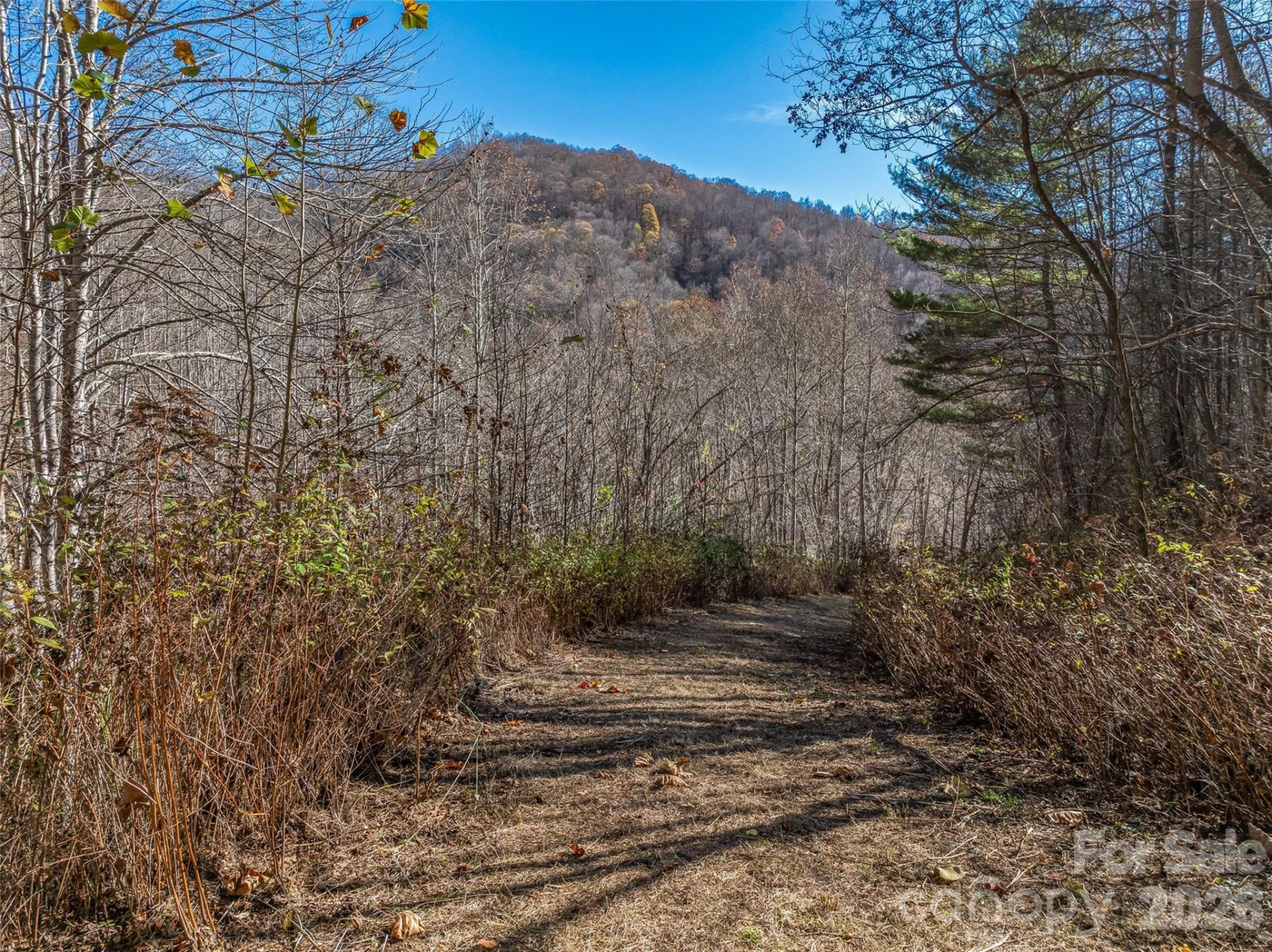 TBD Walnut Creek Road - Photo 6
